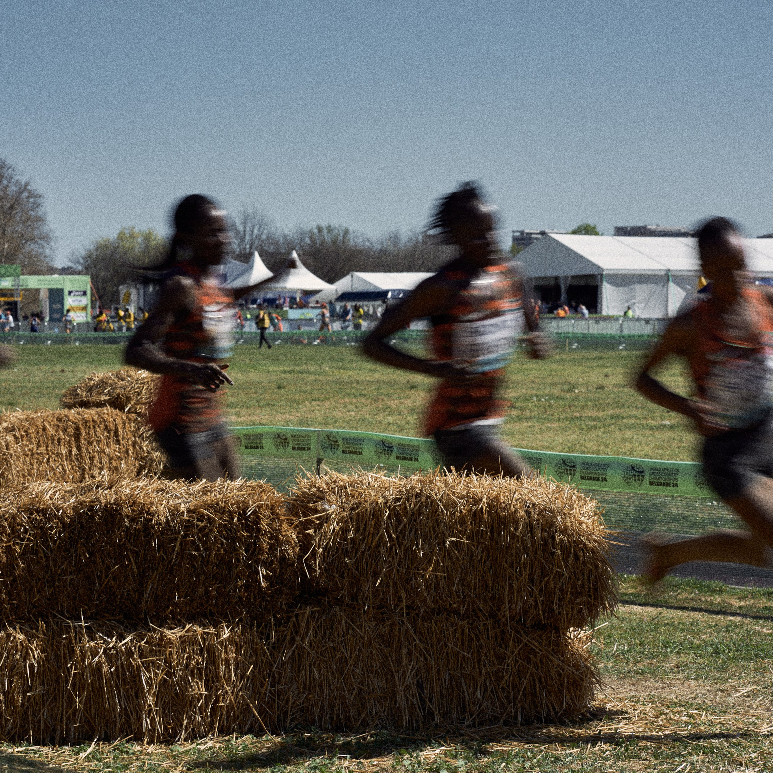 Cross Country Championship 2024 #running