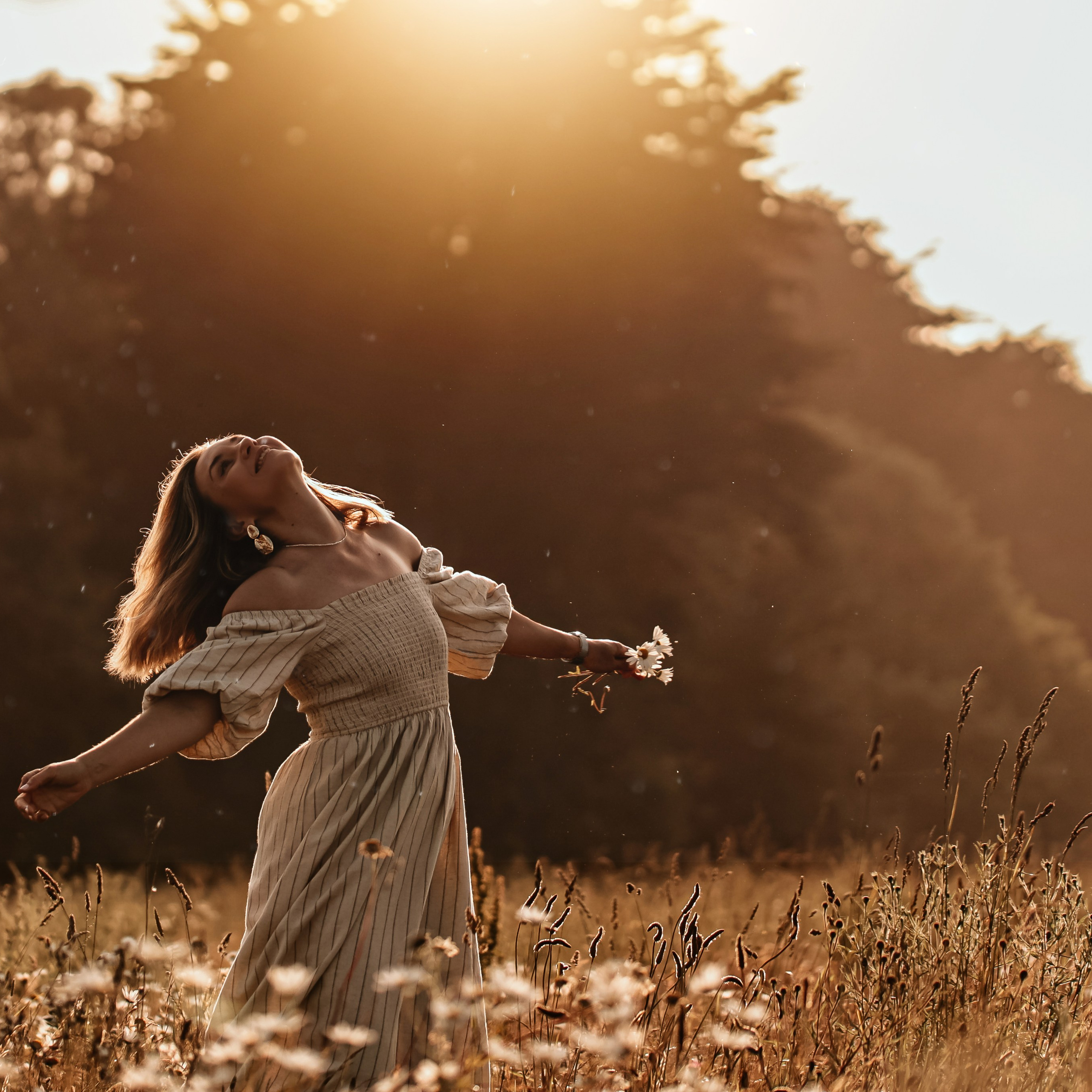 Daisy dreams
