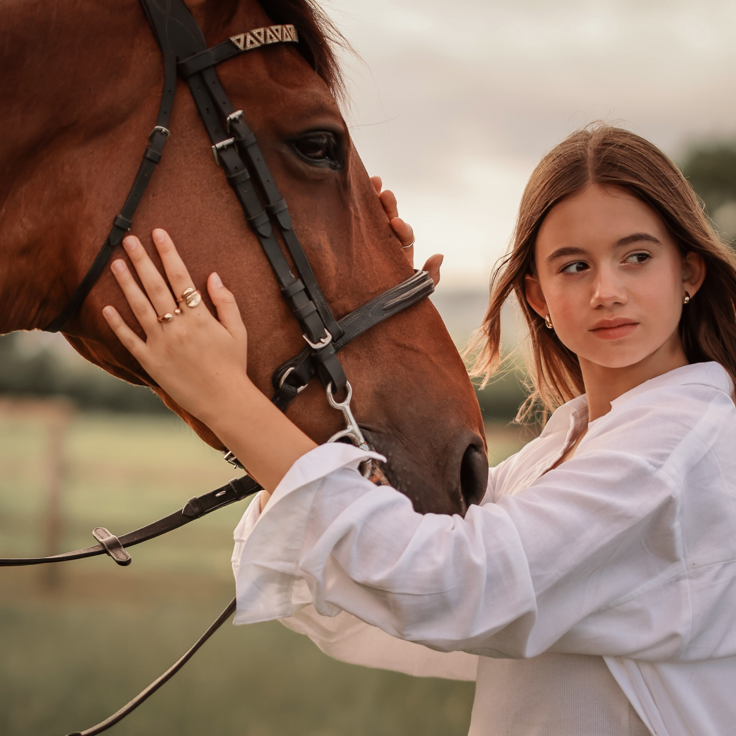Among the Horses