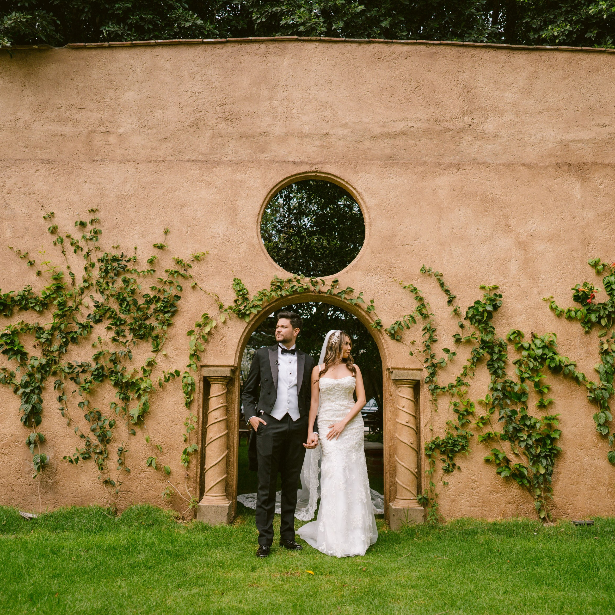 Fotografo Profesional