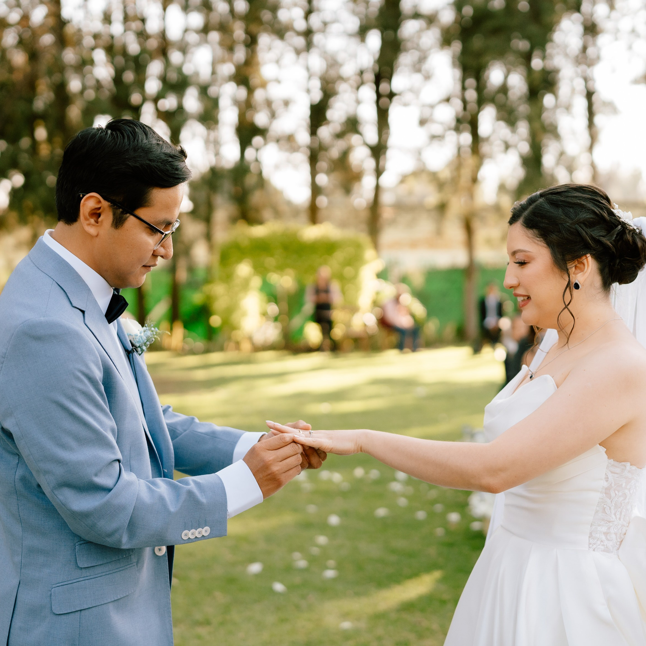 Fotografo Profesional