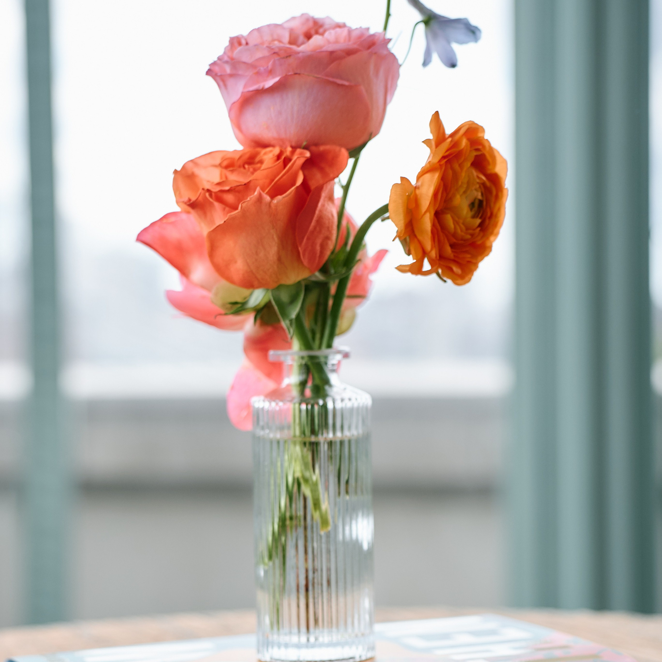 Book Release Event. Professional Wedding and event photographer USA New York