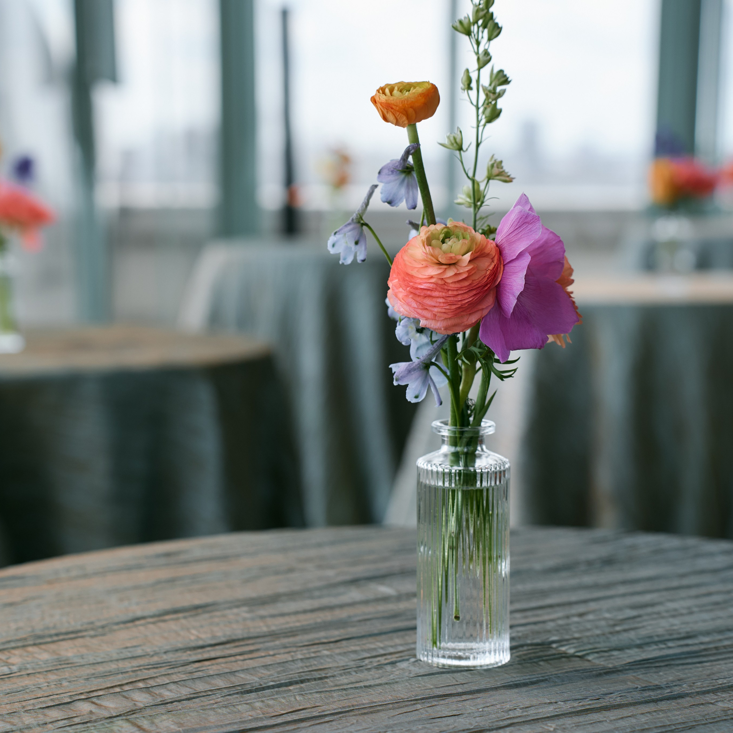 Book Release Event. Professional Wedding and event photographer USA New York