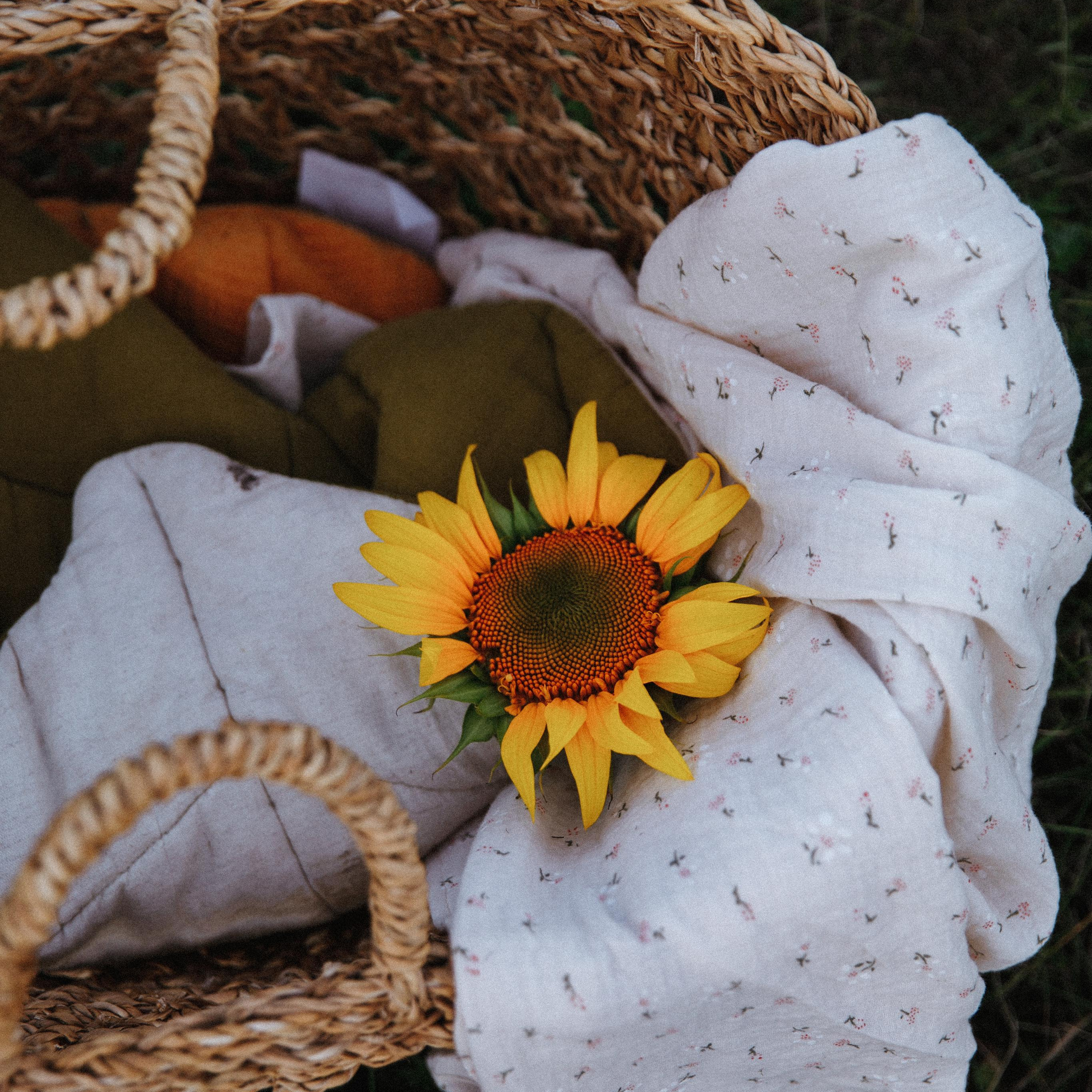 Дачное детство