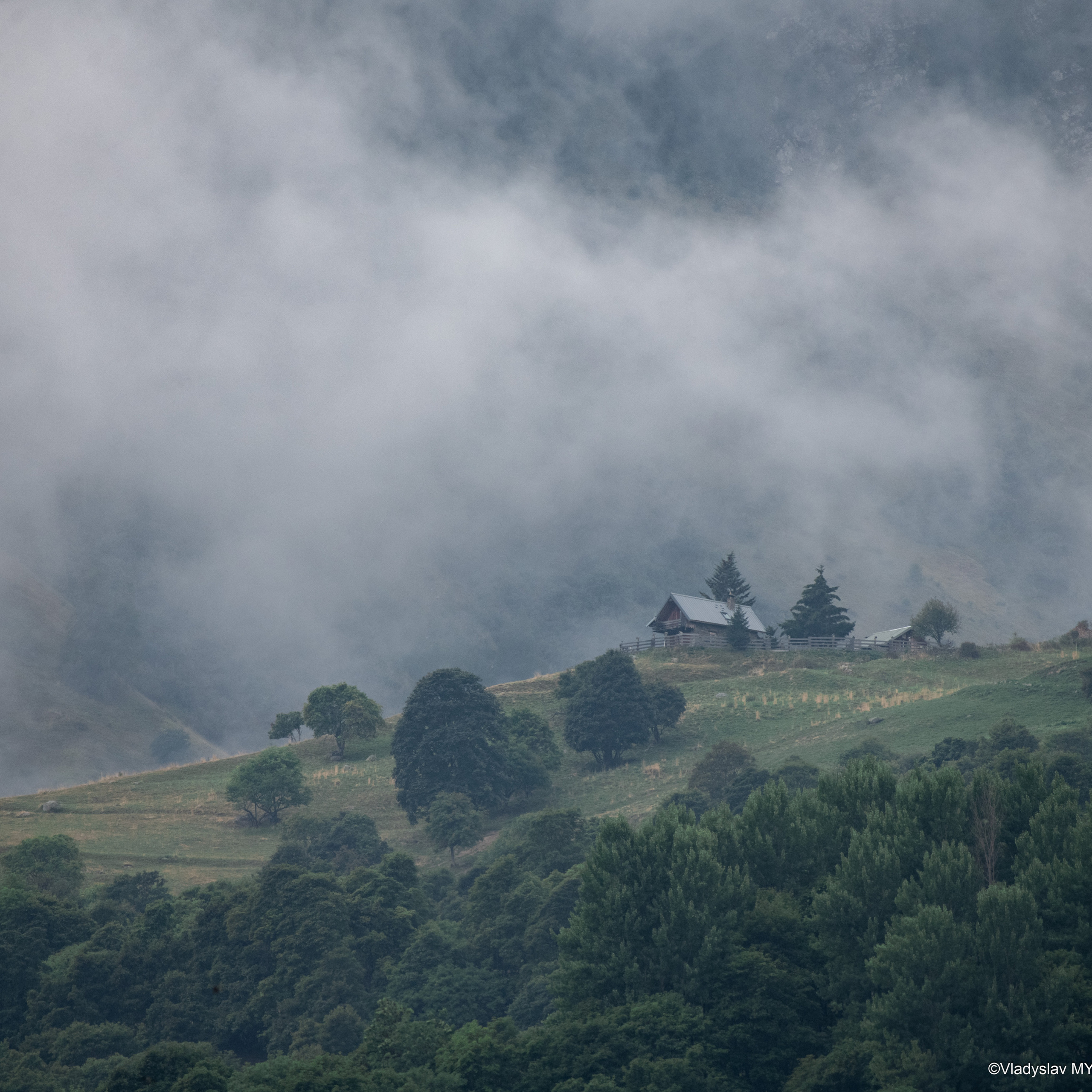 Témoignages. Photographe Mykhaylyk Vladyslav