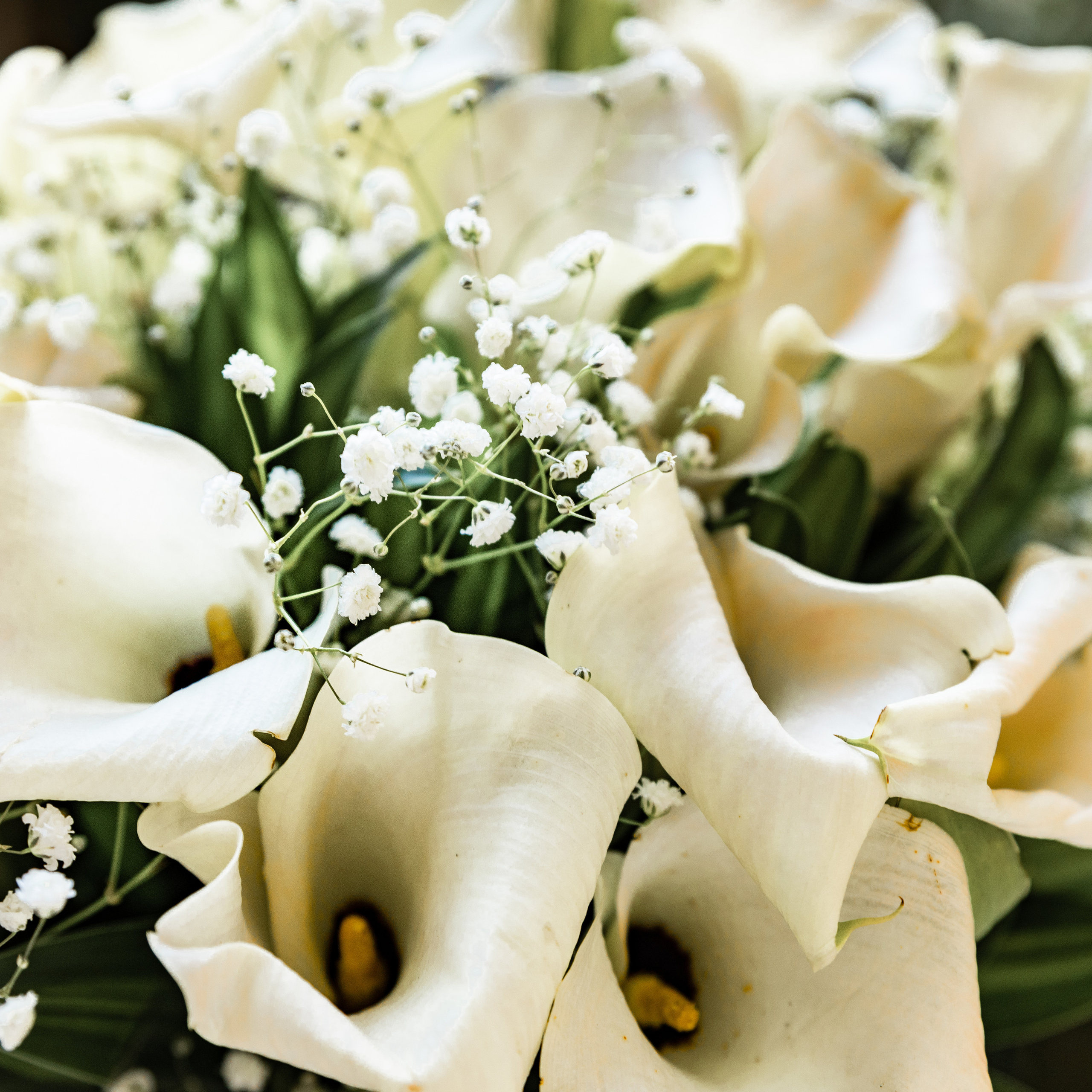 Testimonials. Photographer in Dubai