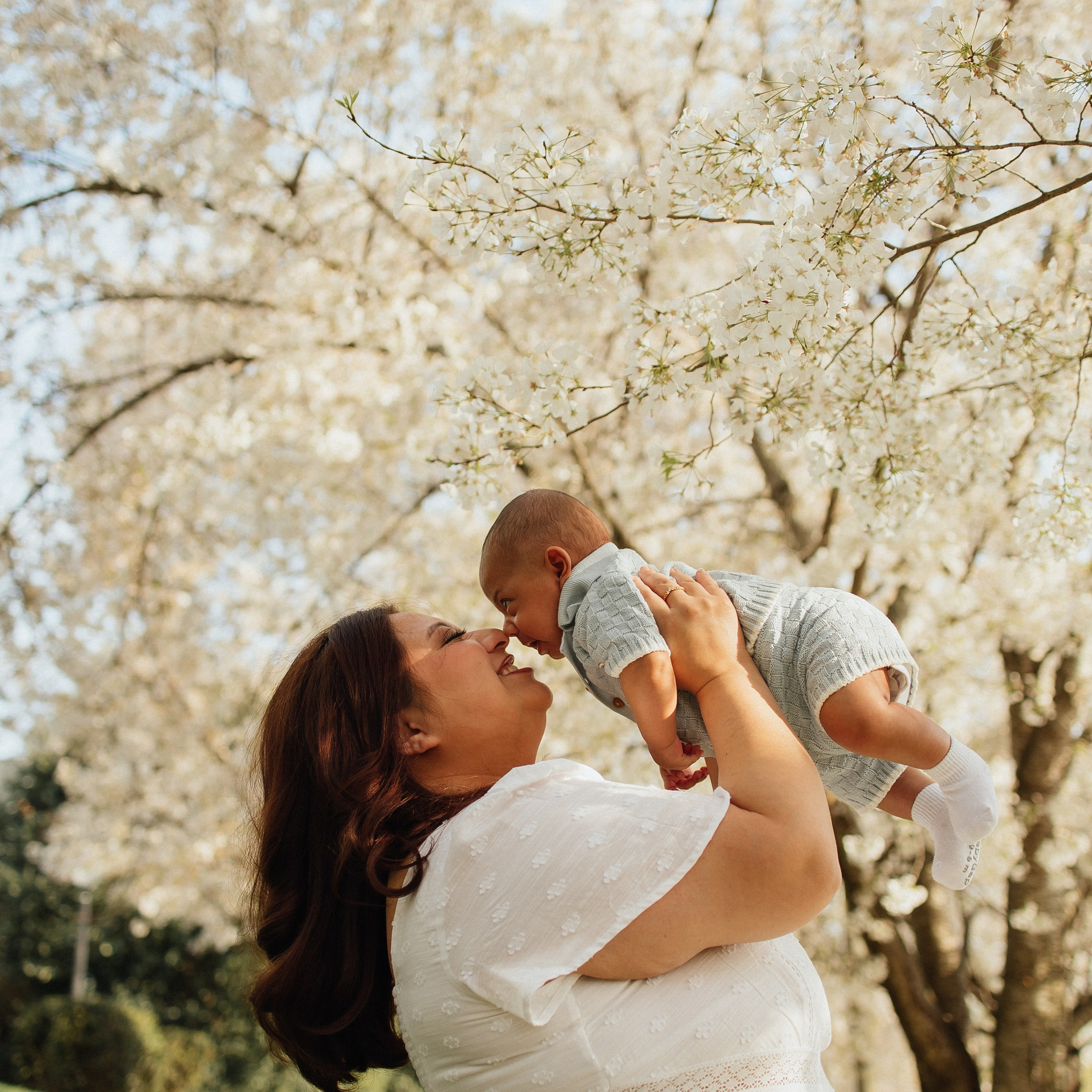 Reviews. Newborn, Maternity & Family Photographer in Charlotte, North Carolina | Arhipova Julia