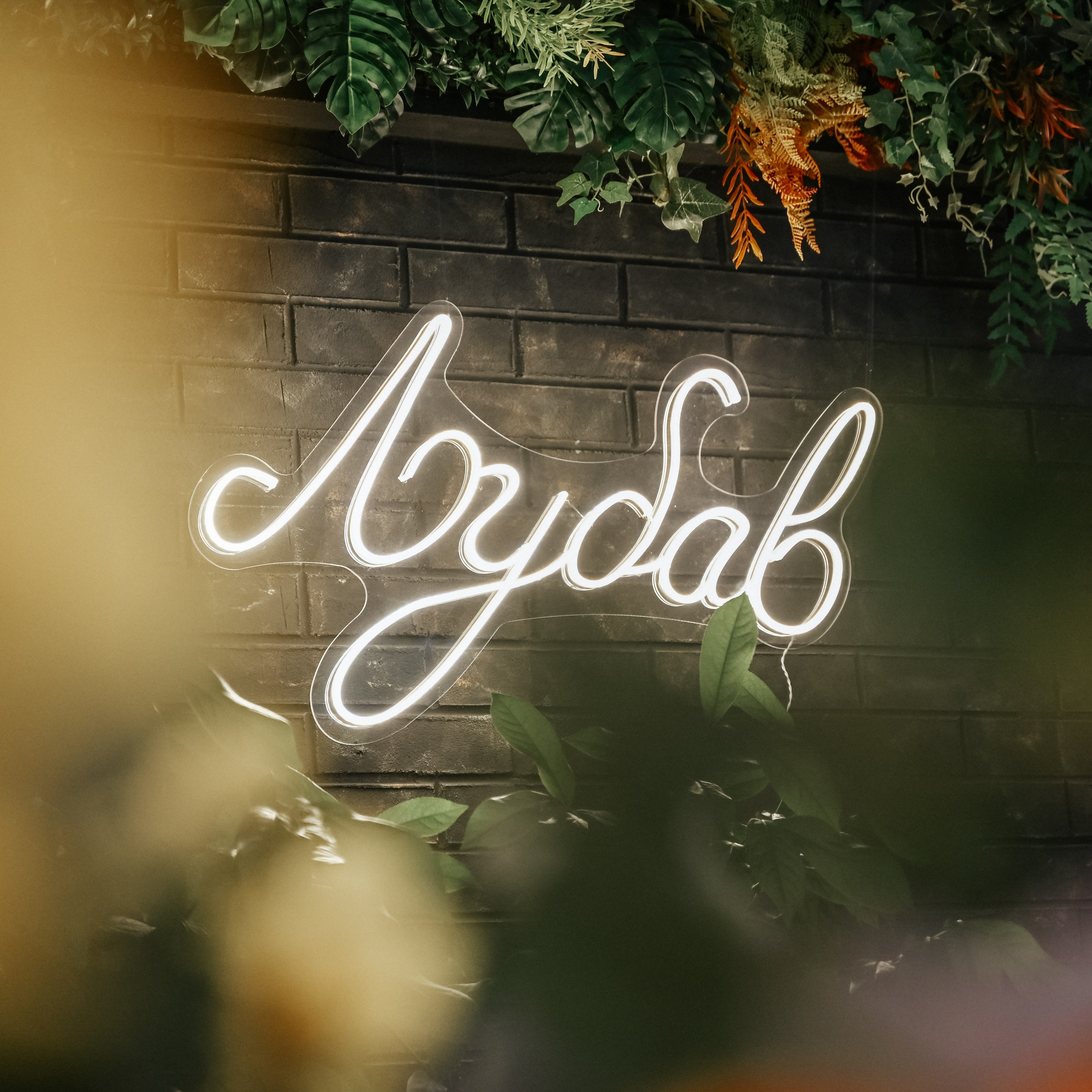 Utisci. Luka Pejcic Photography