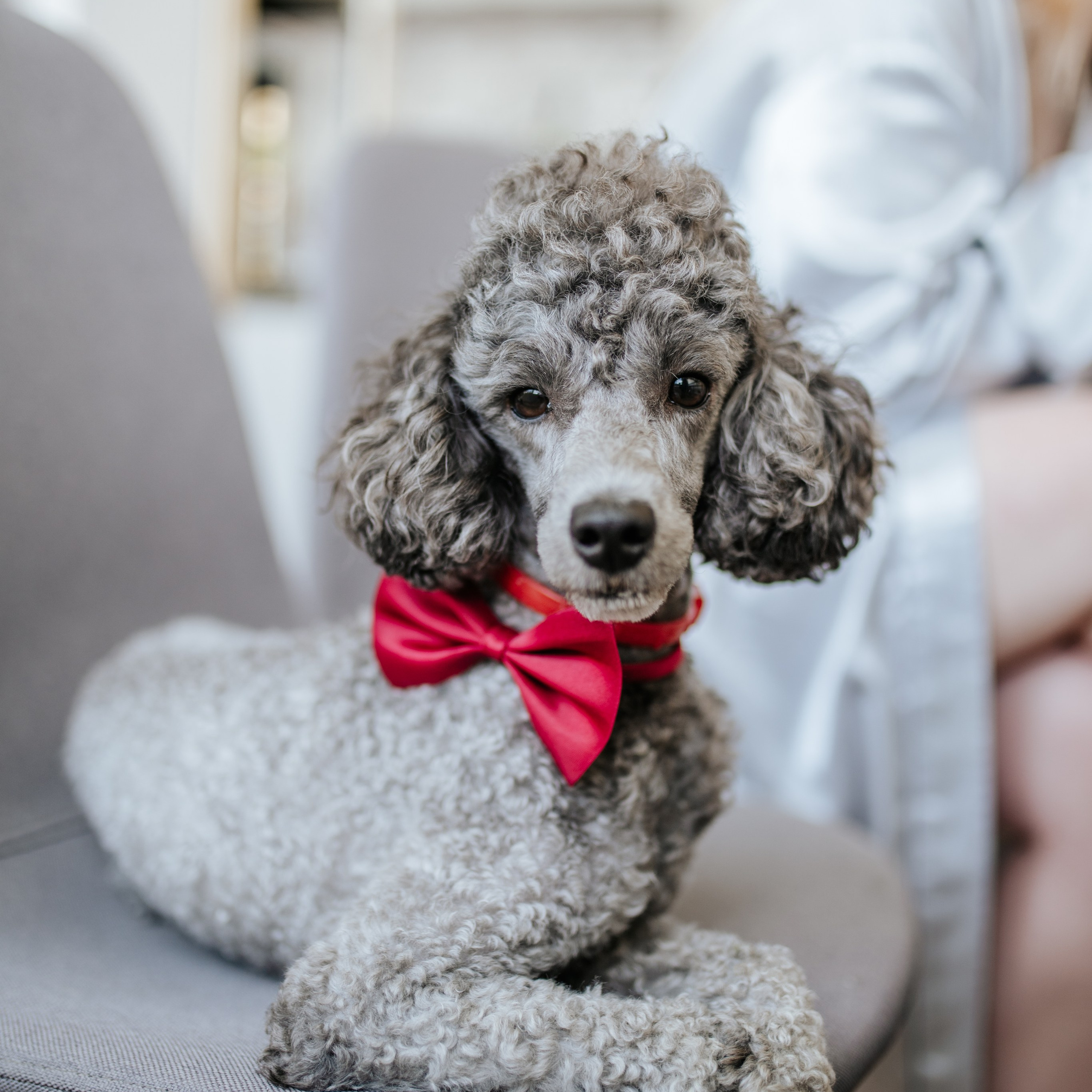 Utisci. Luka Pejcic Photography