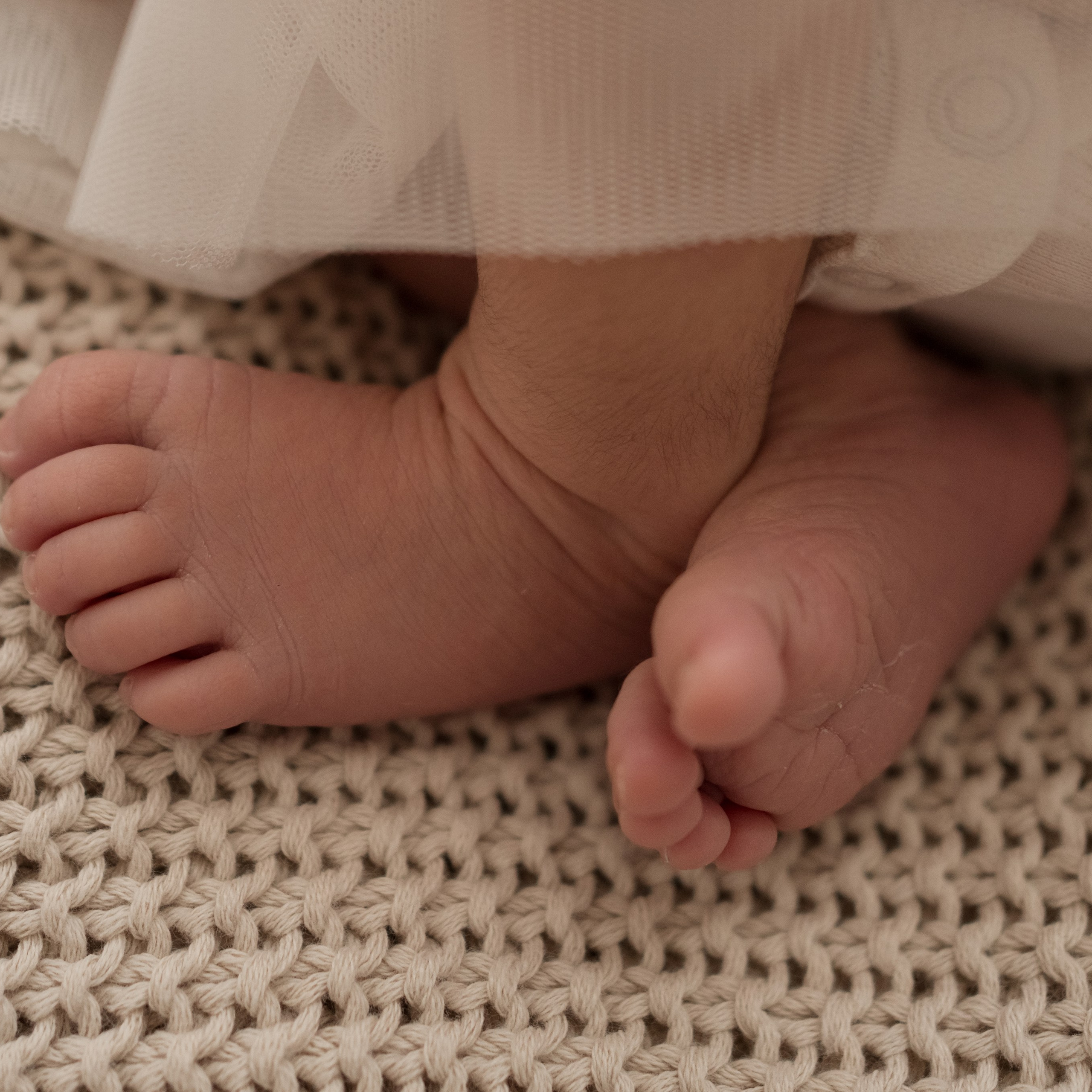Testimonials. Angela Iakovleva — Family Photographer in Dubai