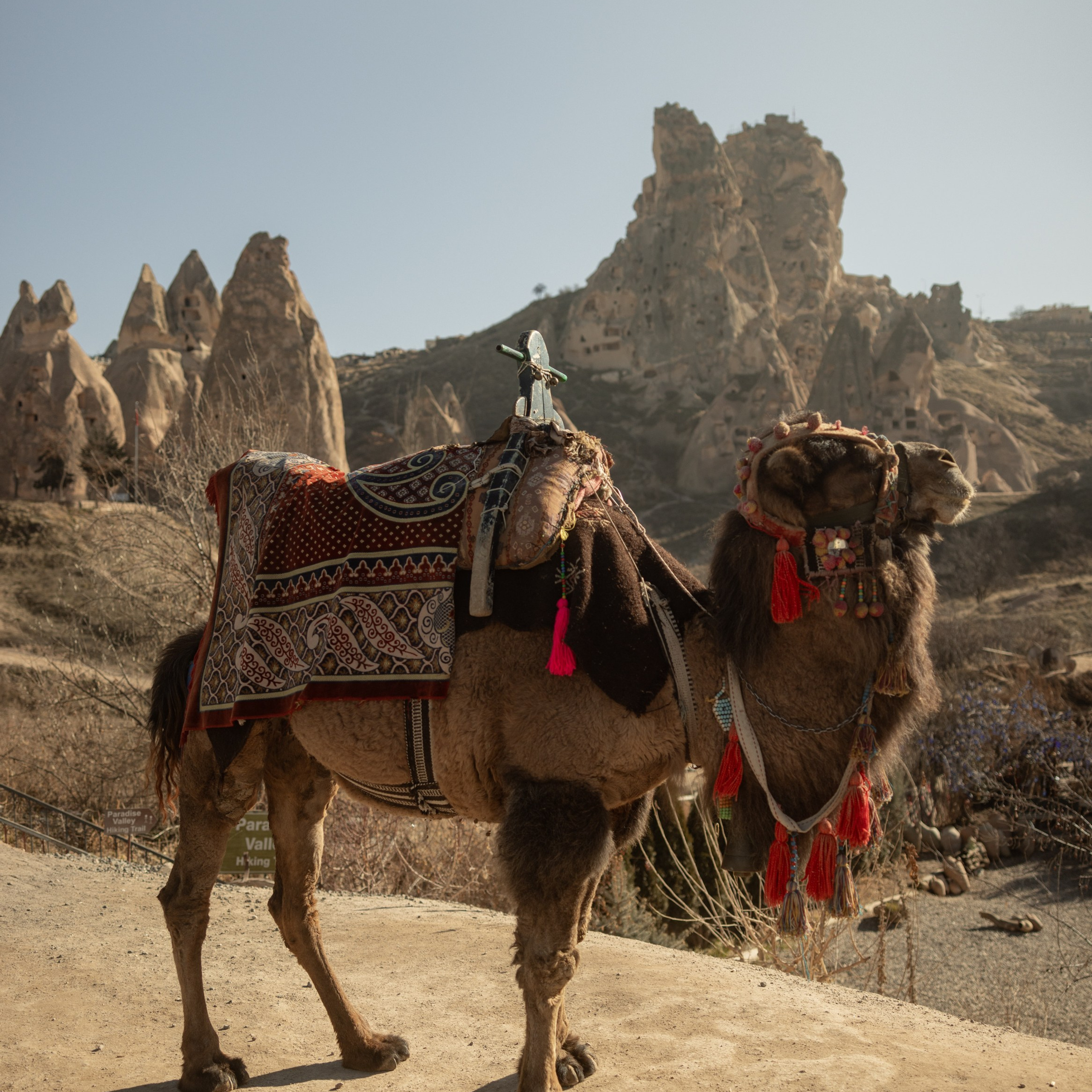 Red Tour in Cappadocia - Uçhisar, Zelve, and More. Your Guide to Cappadocia: Private Tours, Scenic Routes, Hot Air Balloon Rides, and More Adventures