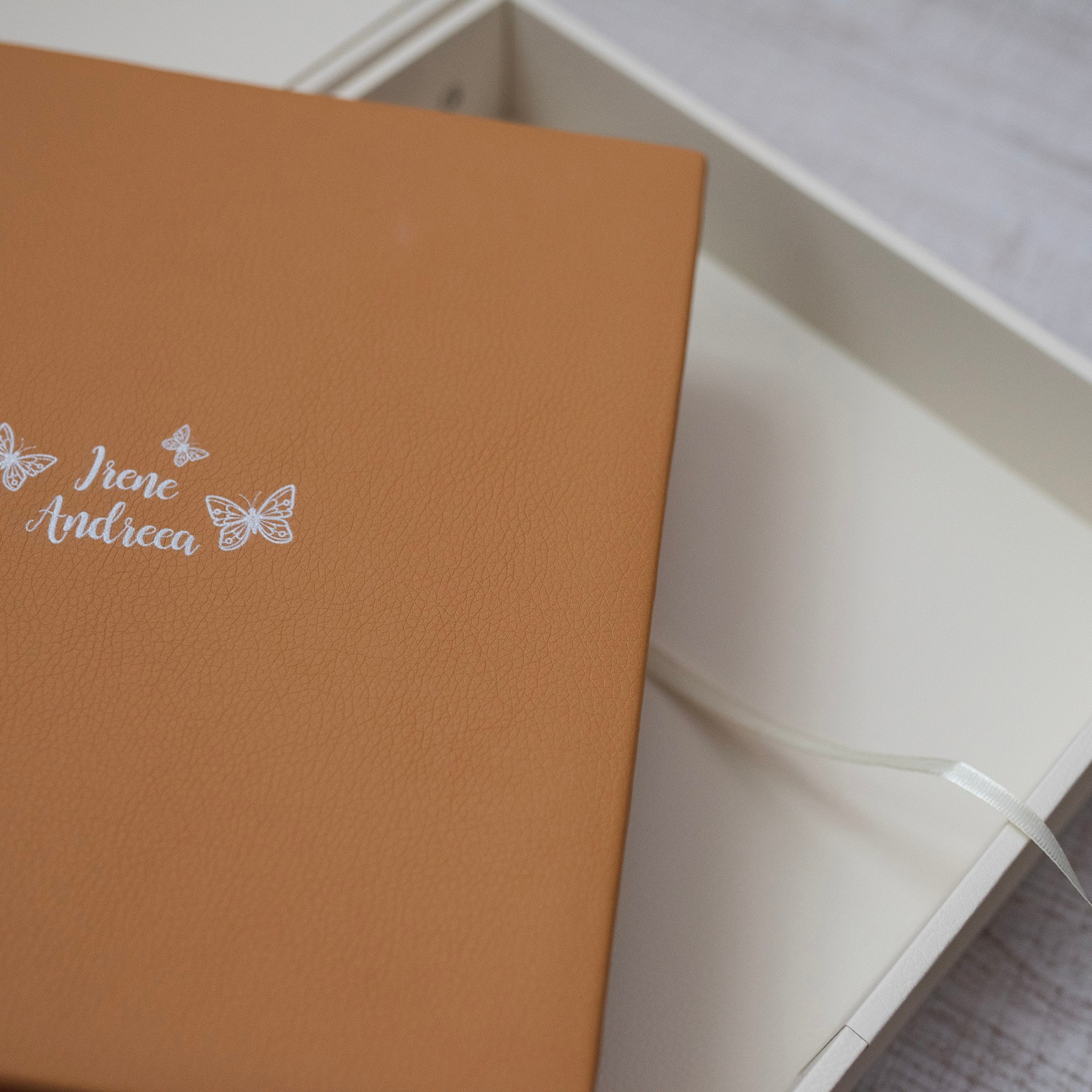 Albume Bogdan Palenciuc