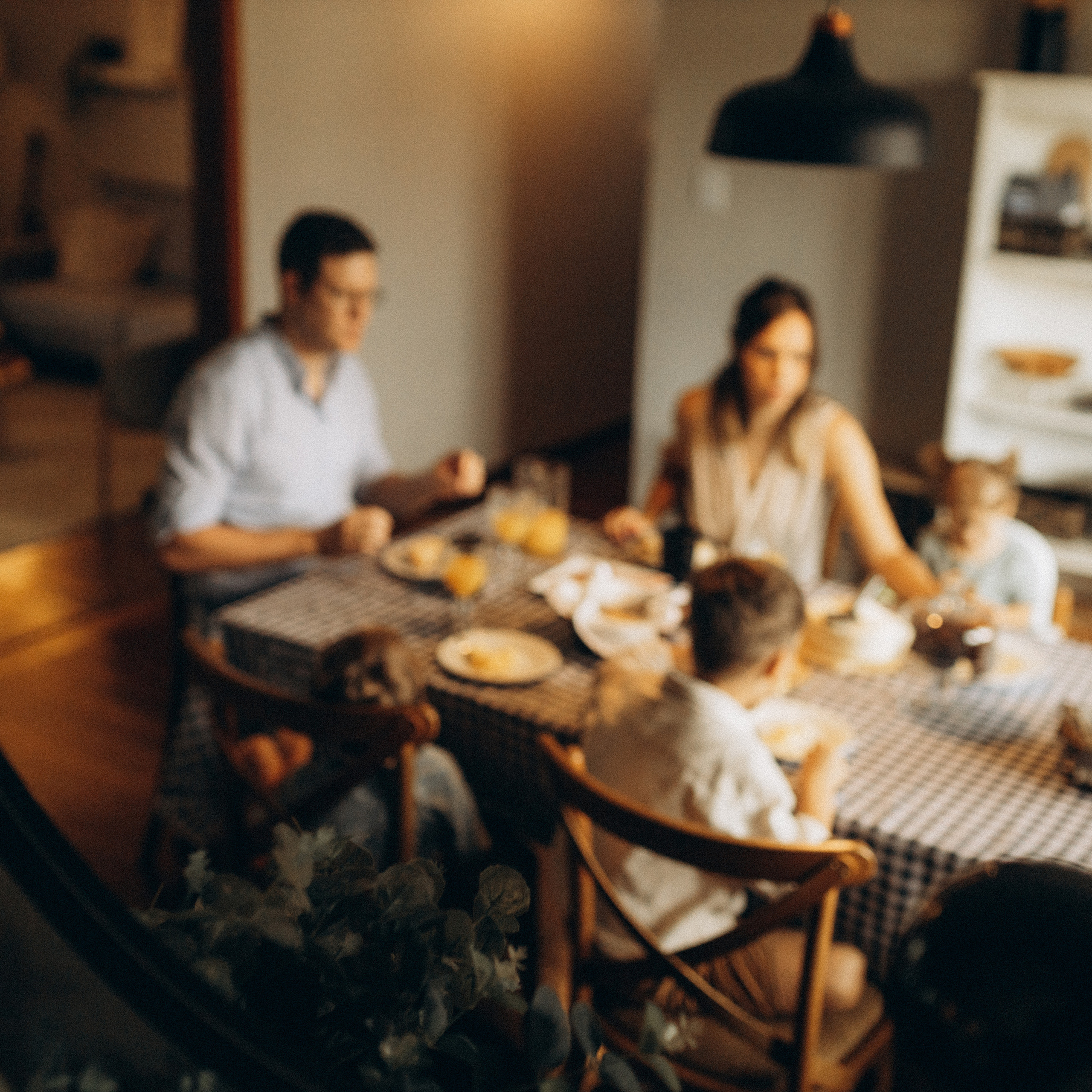 semeando vida, criando memórias