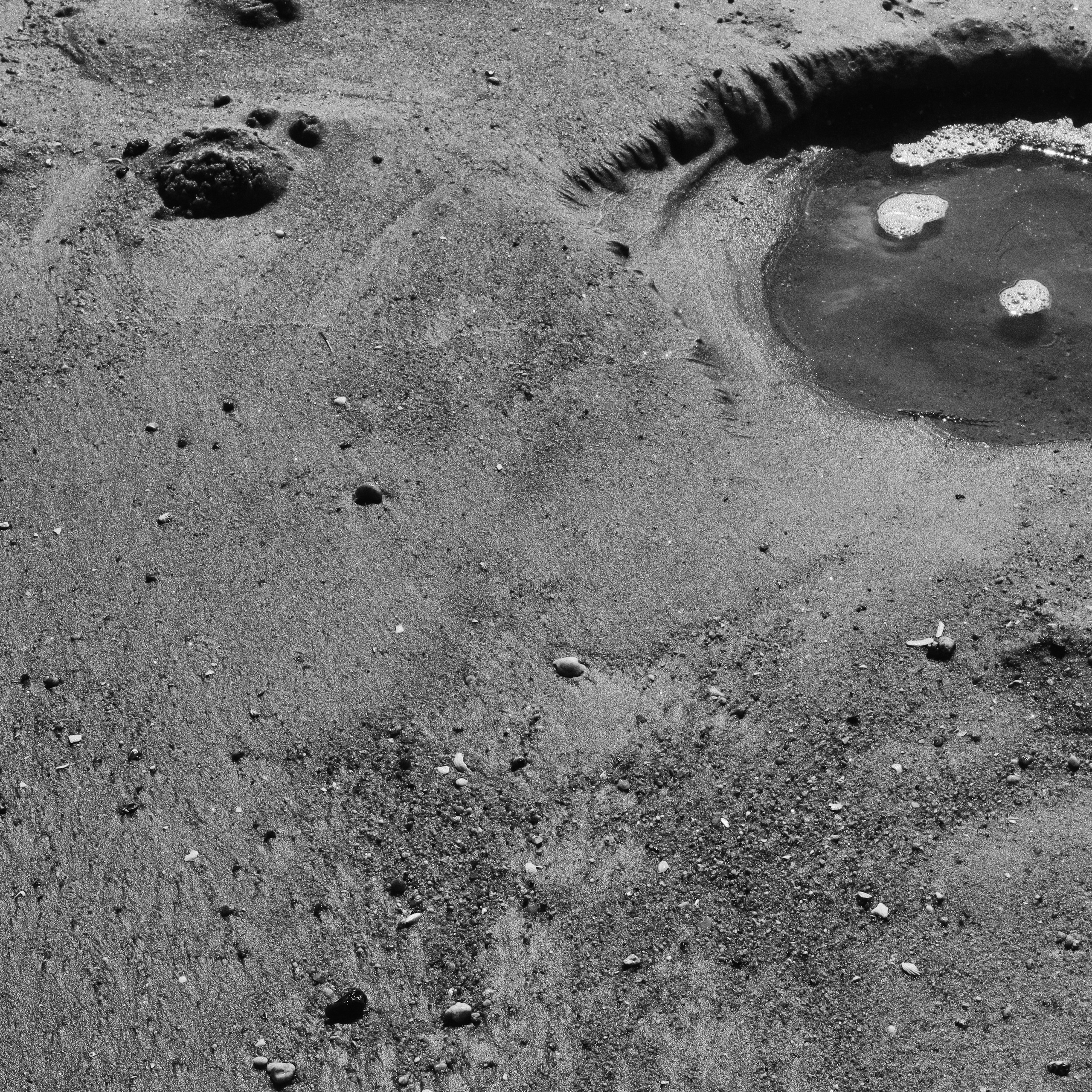 I Am the Sea. Sveta Kaverina