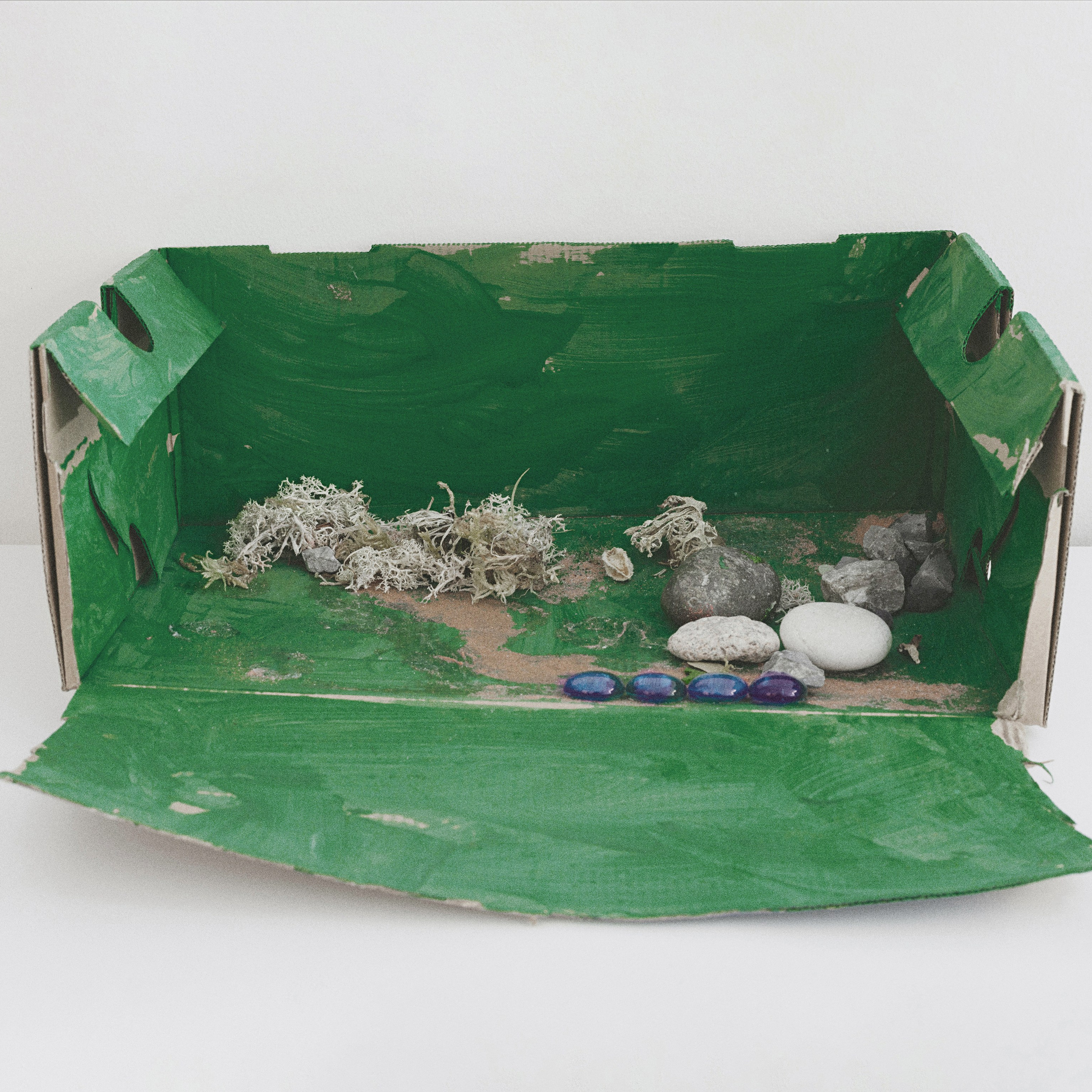 My Grandfather Sent Me to the Moon. Sveta Kaverina