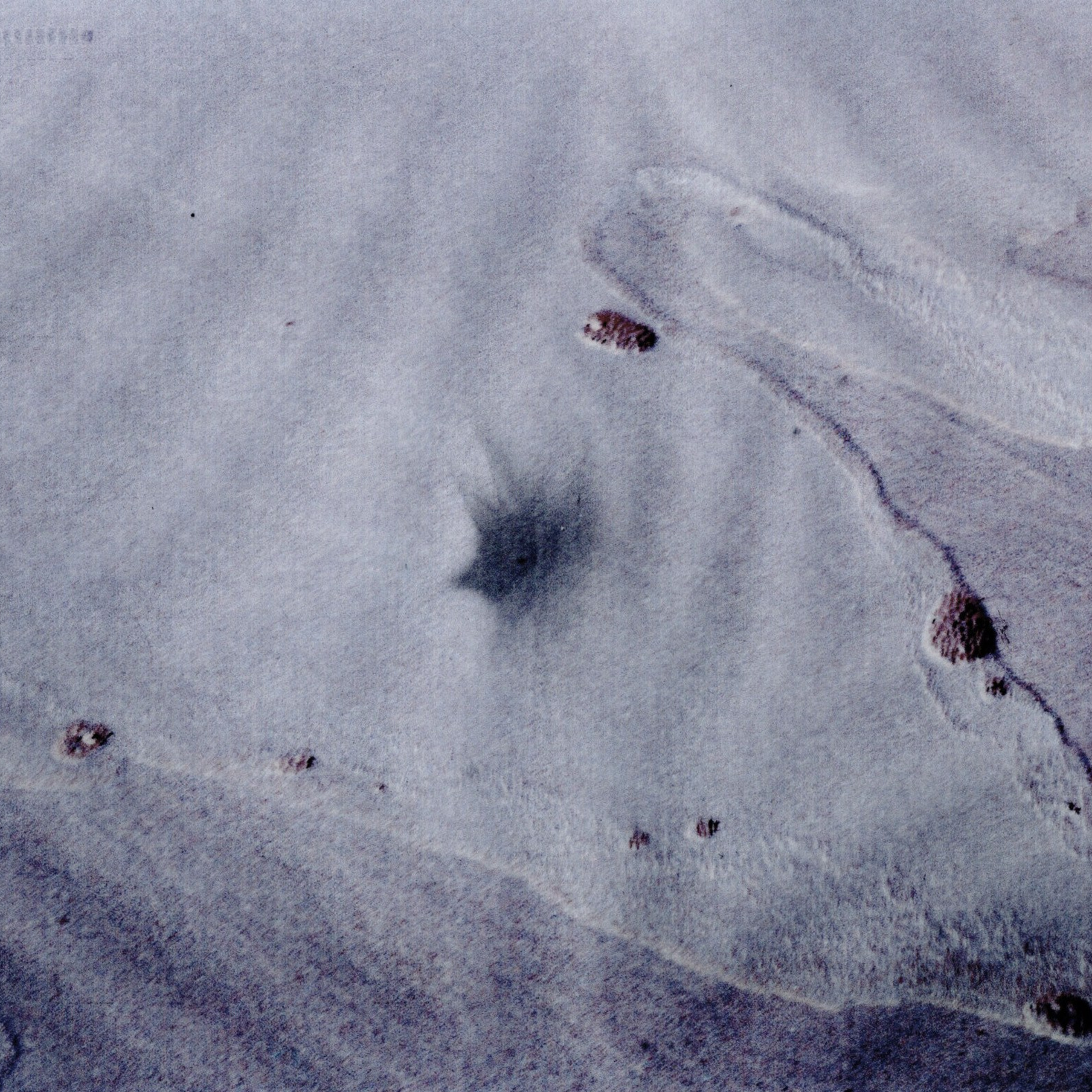 I Am the Sea. Sveta Kaverina