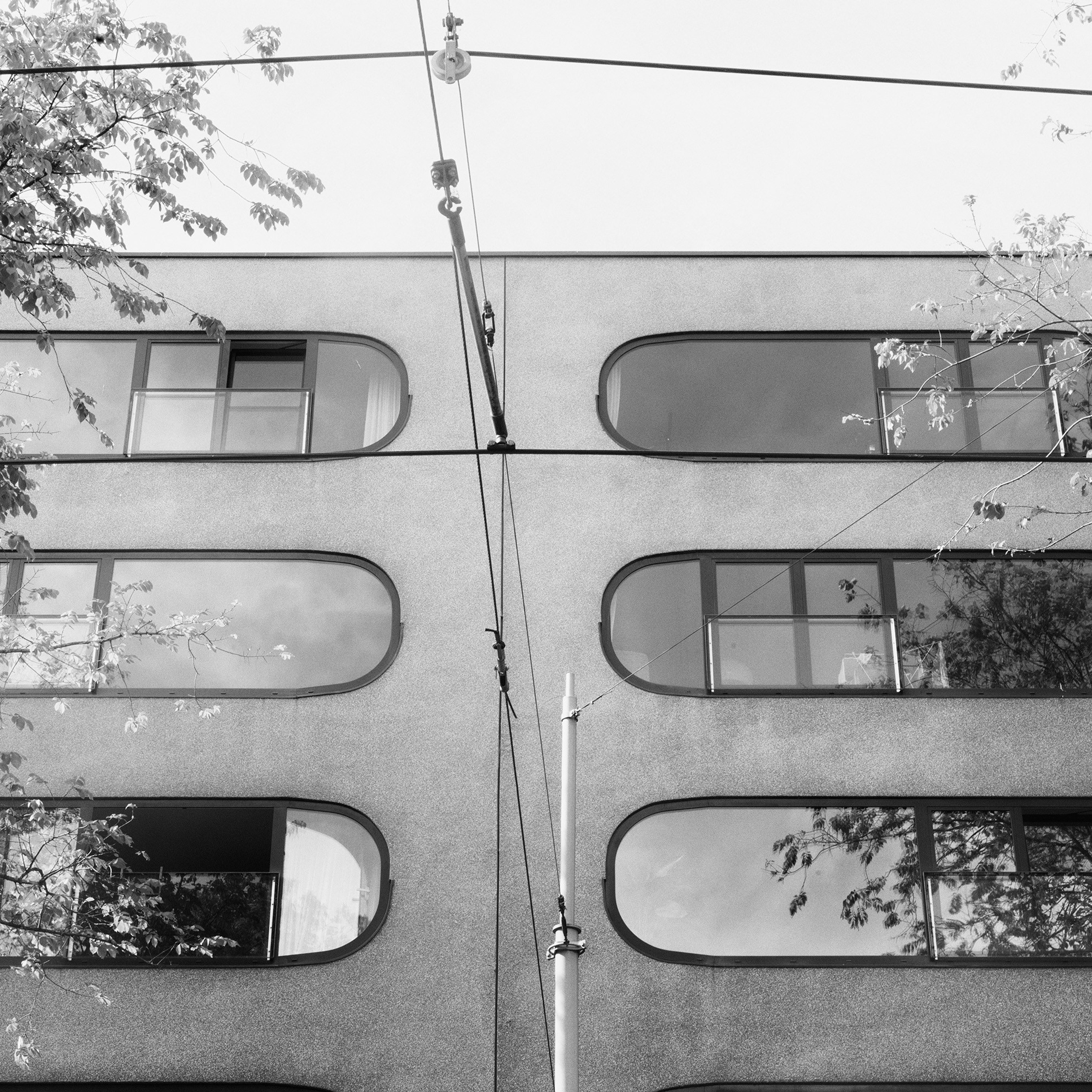 The Three of Us. Sveta Kaverina