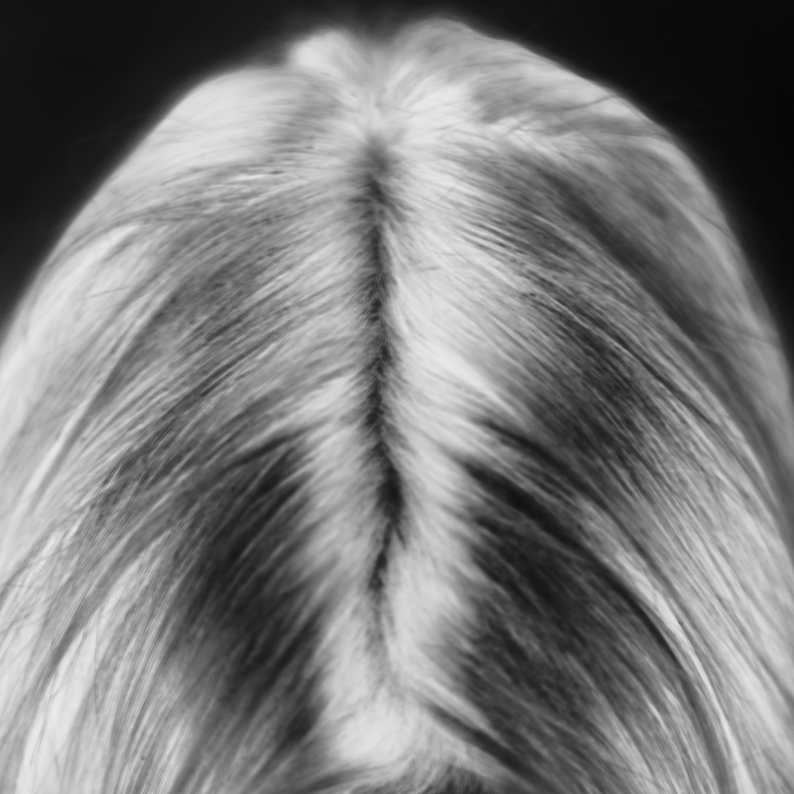 Works. Sveta Kaverina