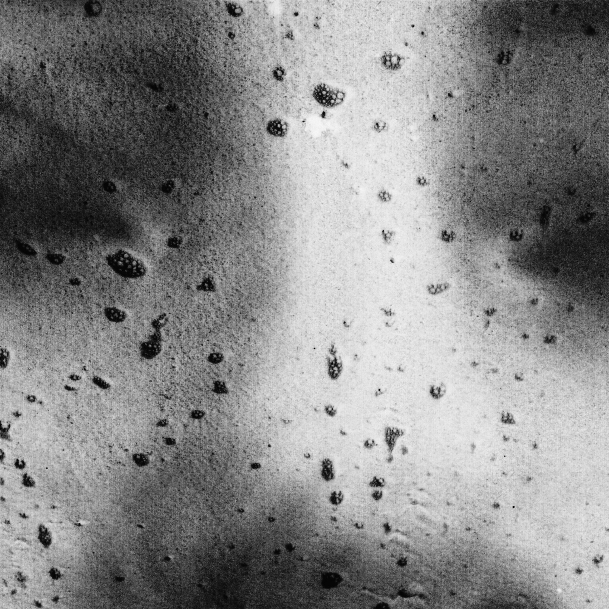 I Am the Sea. Sveta Kaverina