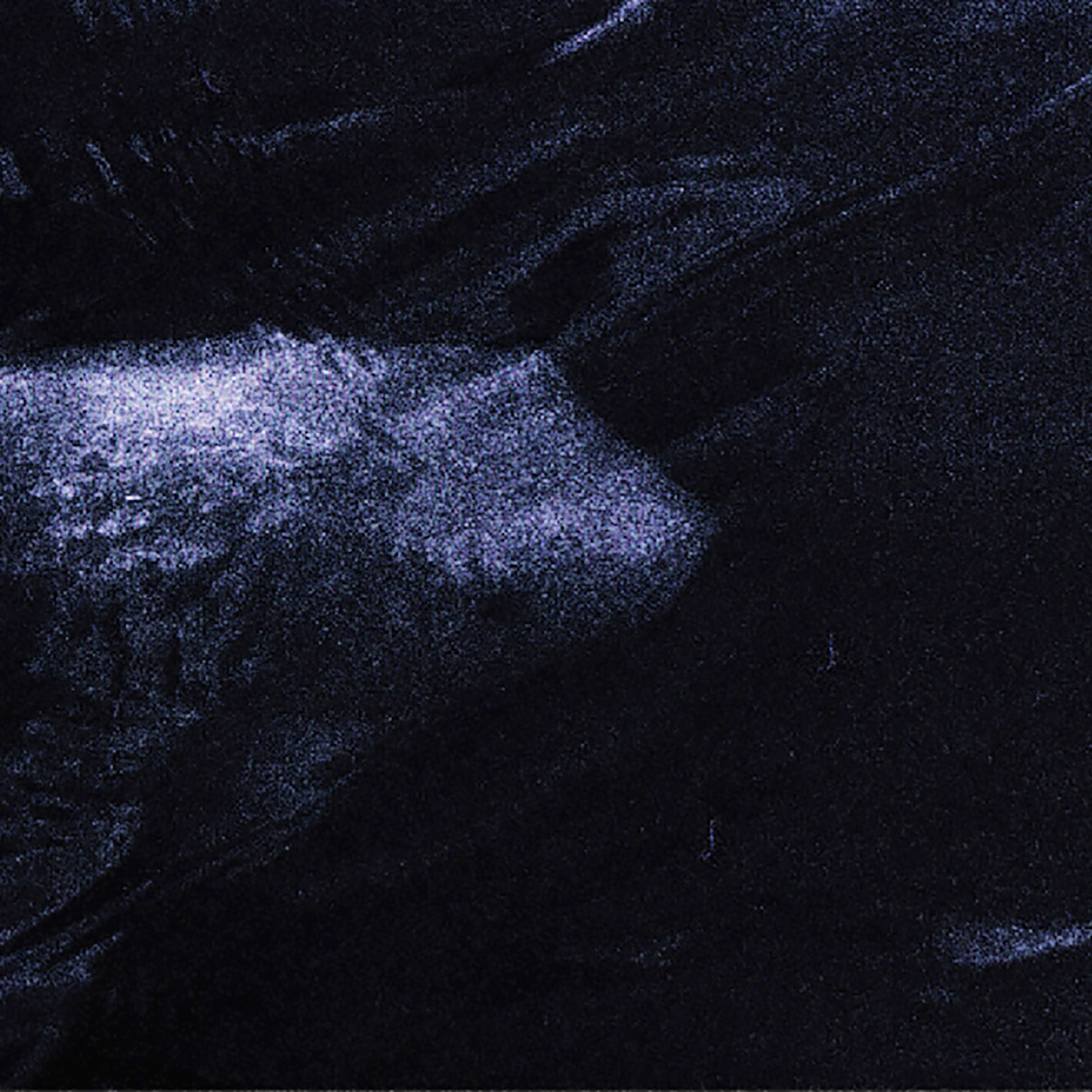 I Am the Sea. Sveta Kaverina