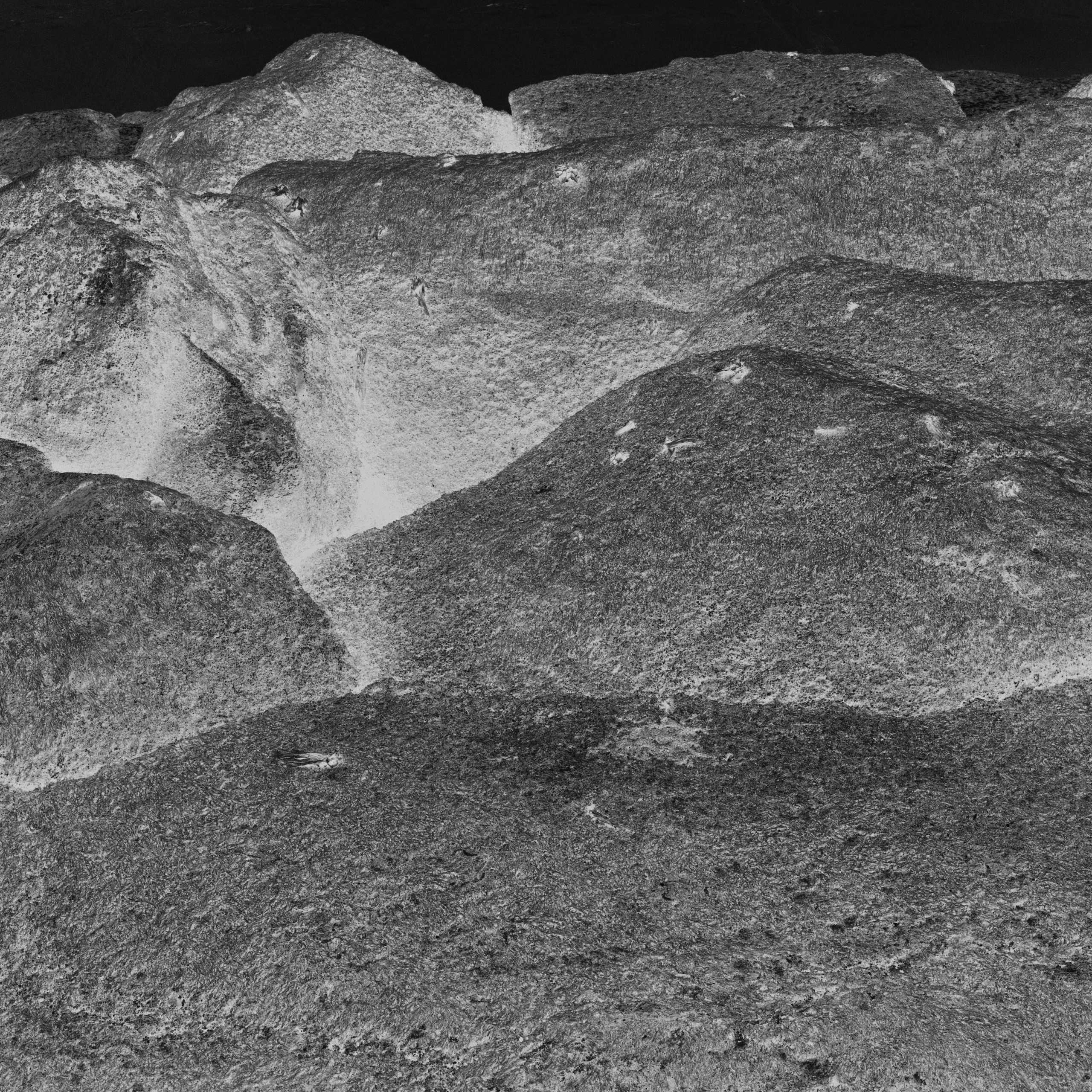 I Am the Sea. Sveta Kaverina