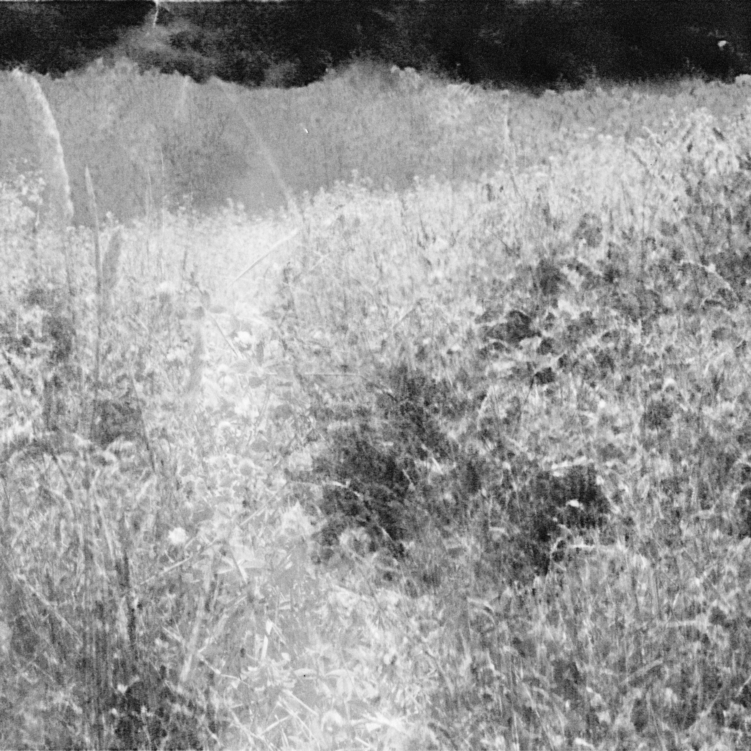 My Grandfather Sent Me to the Moon. Sveta Kaverina