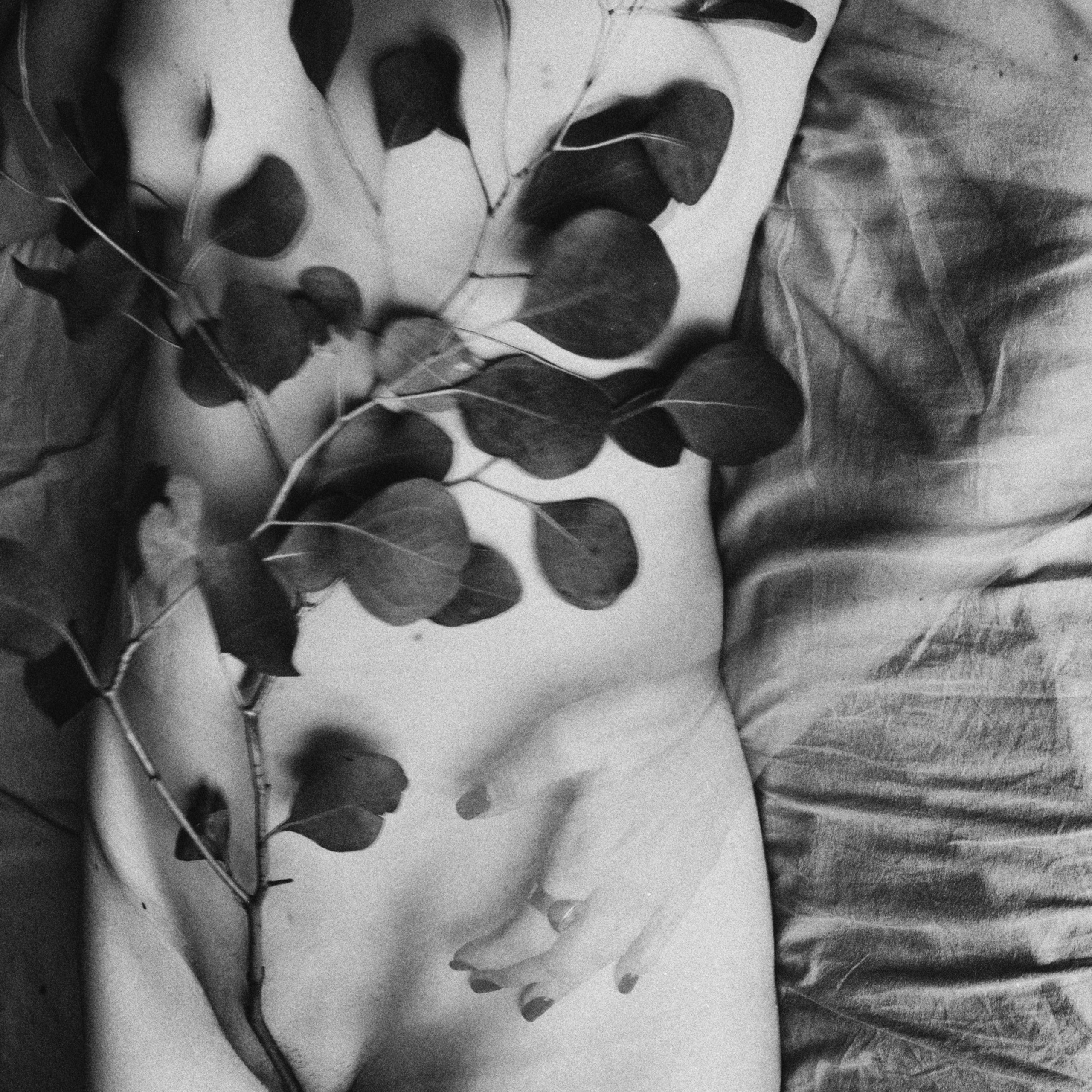 Works. Sveta Kaverina