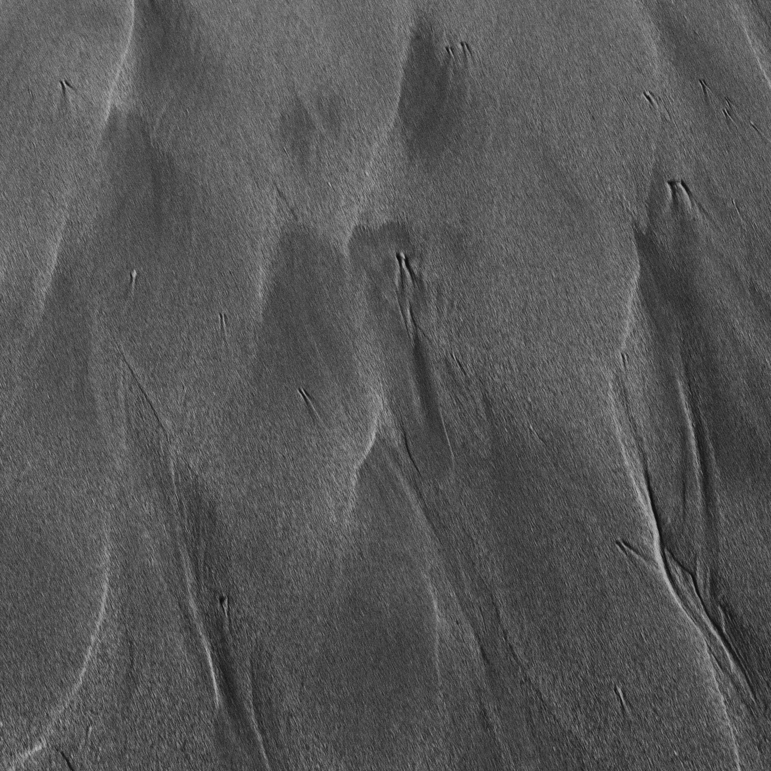 I Am the Sea. Sveta Kaverina