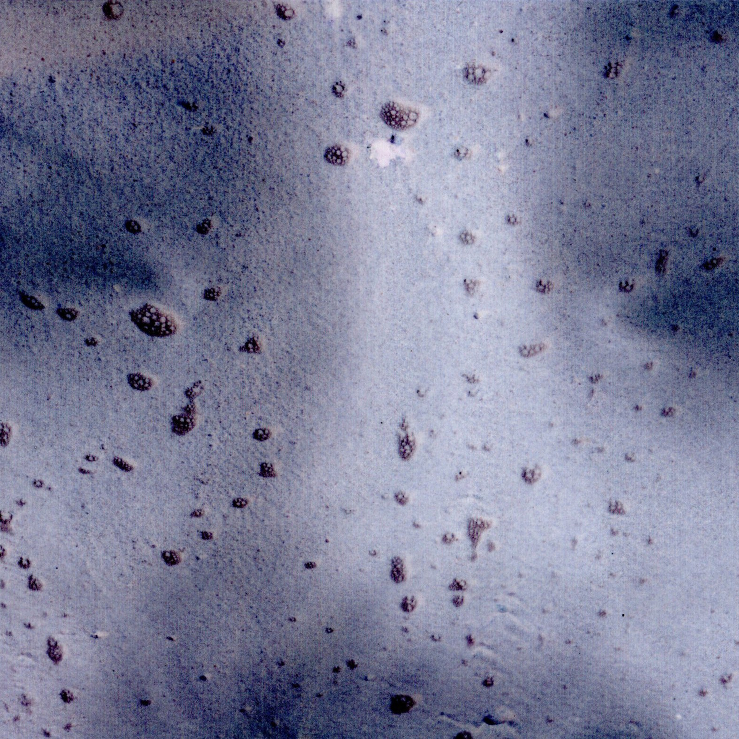 I Am the Sea. Sveta Kaverina