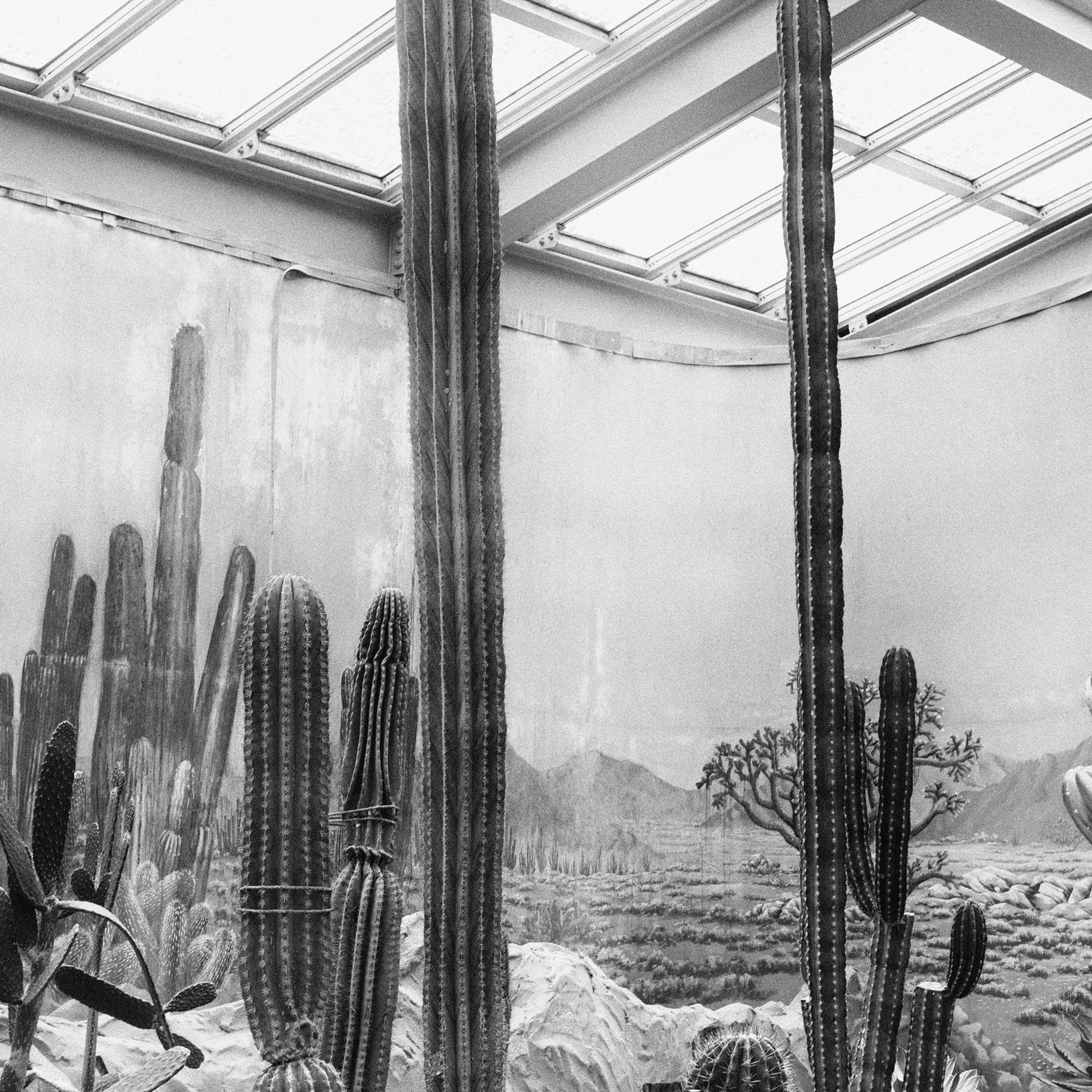 The Three of Us. Sveta Kaverina