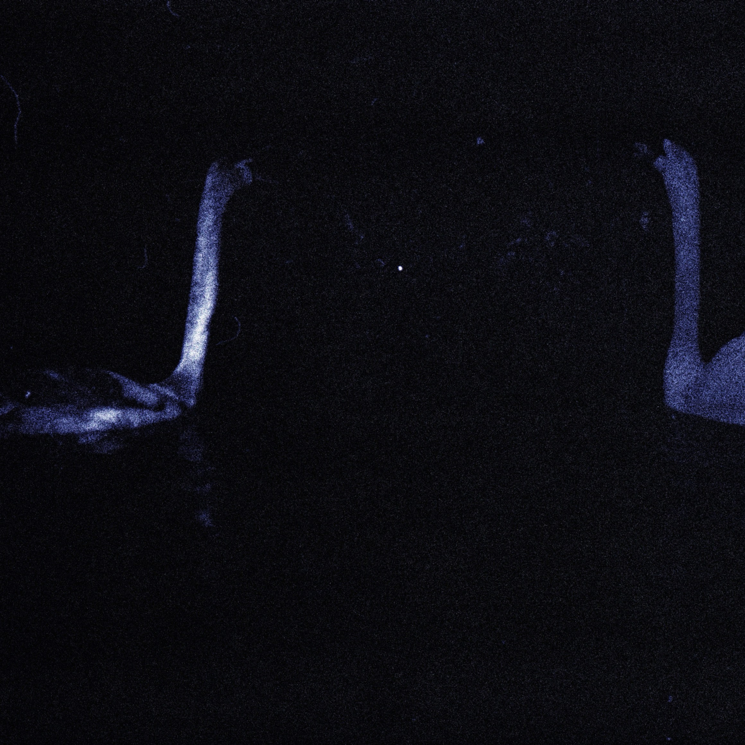 I Am the Sea. Sveta Kaverina