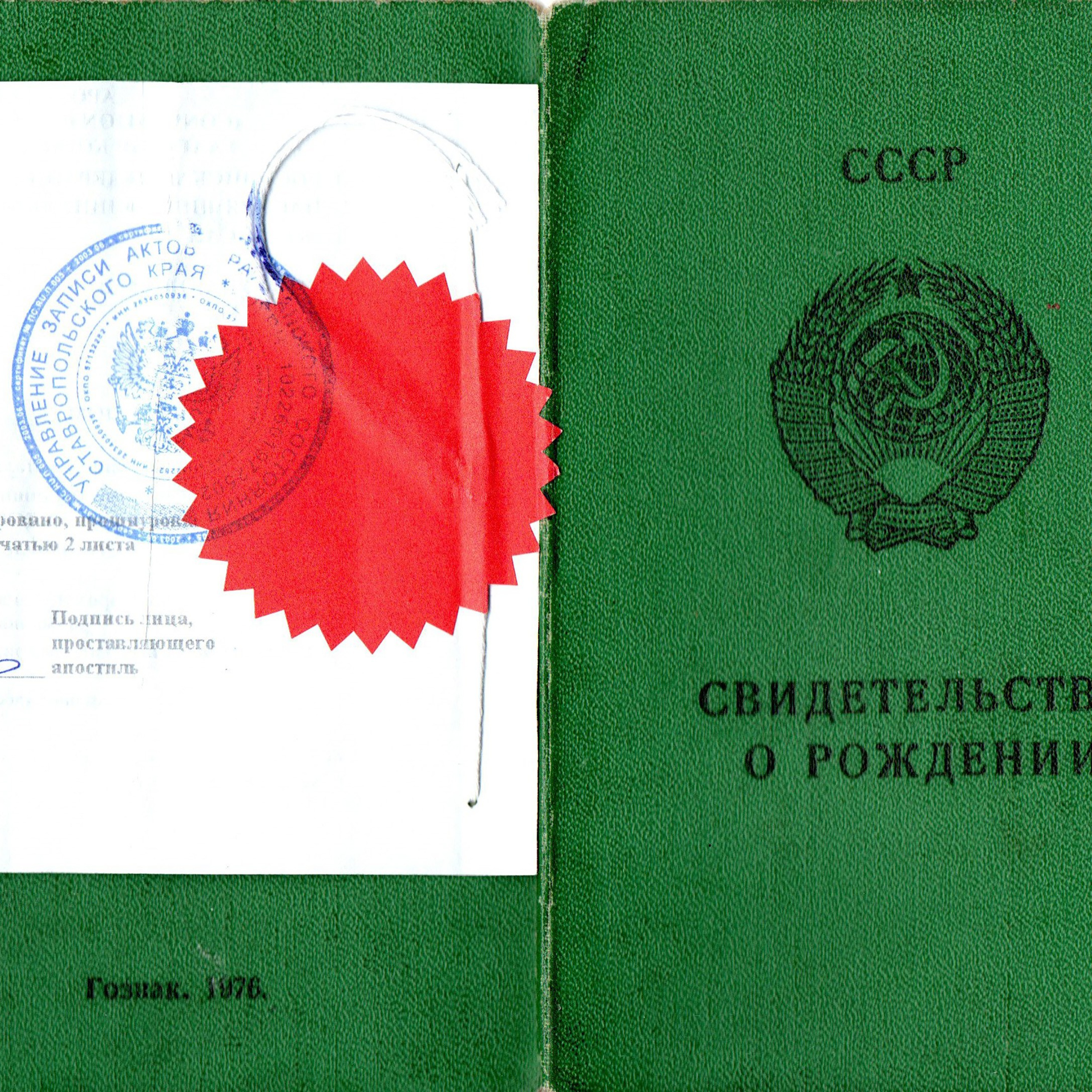 My Grandfather Sent Me to the Moon. Sveta Kaverina