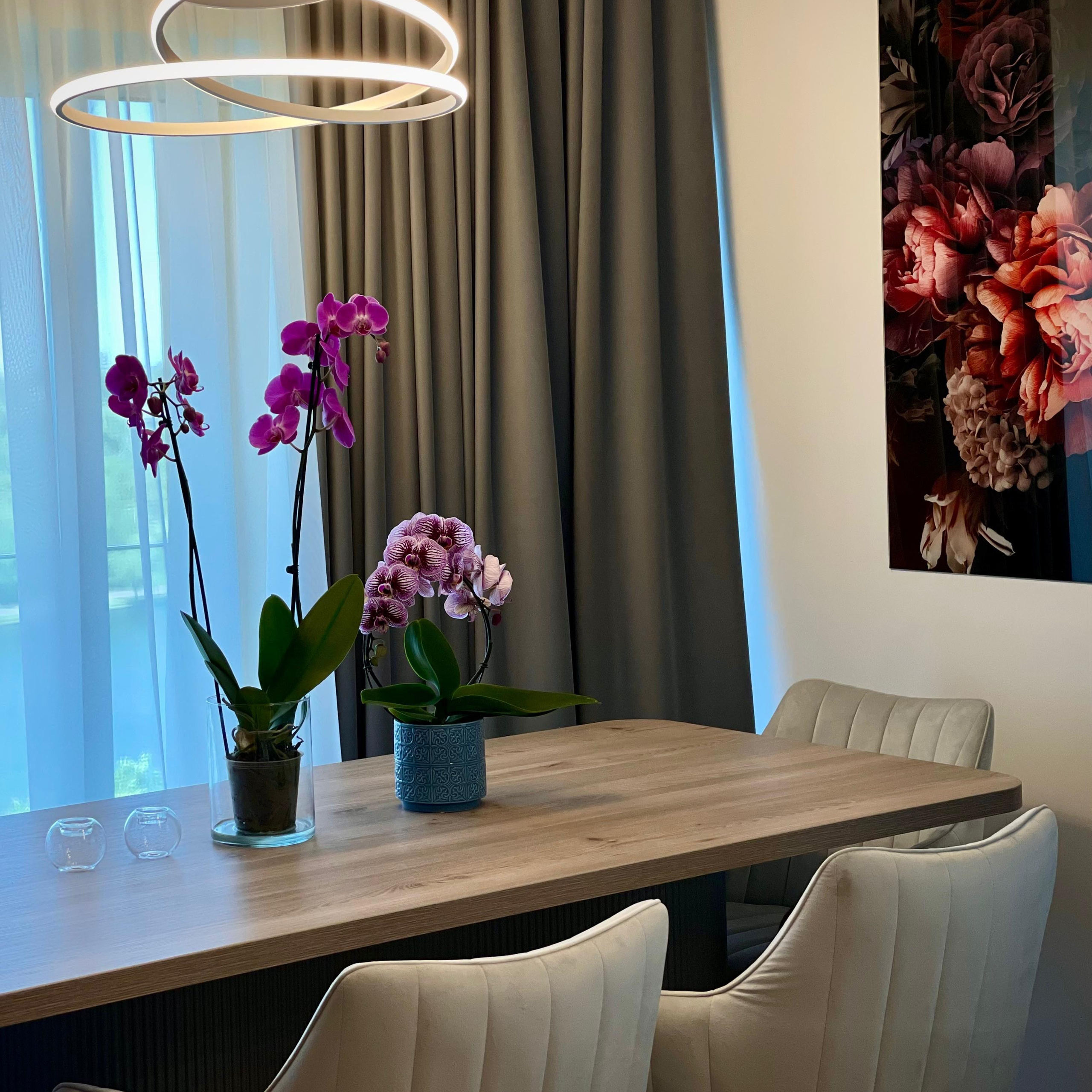 The Grey Orchid – Eleganță în Design Interior. IONESCU ELENA