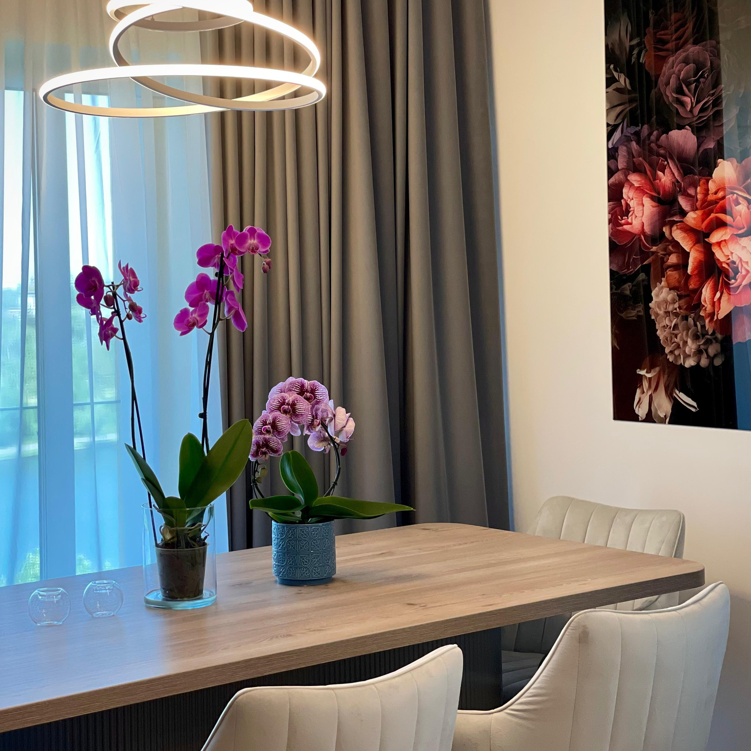 The Grey Orchid – Eleganță în Design Interior. IONESCU ELENA