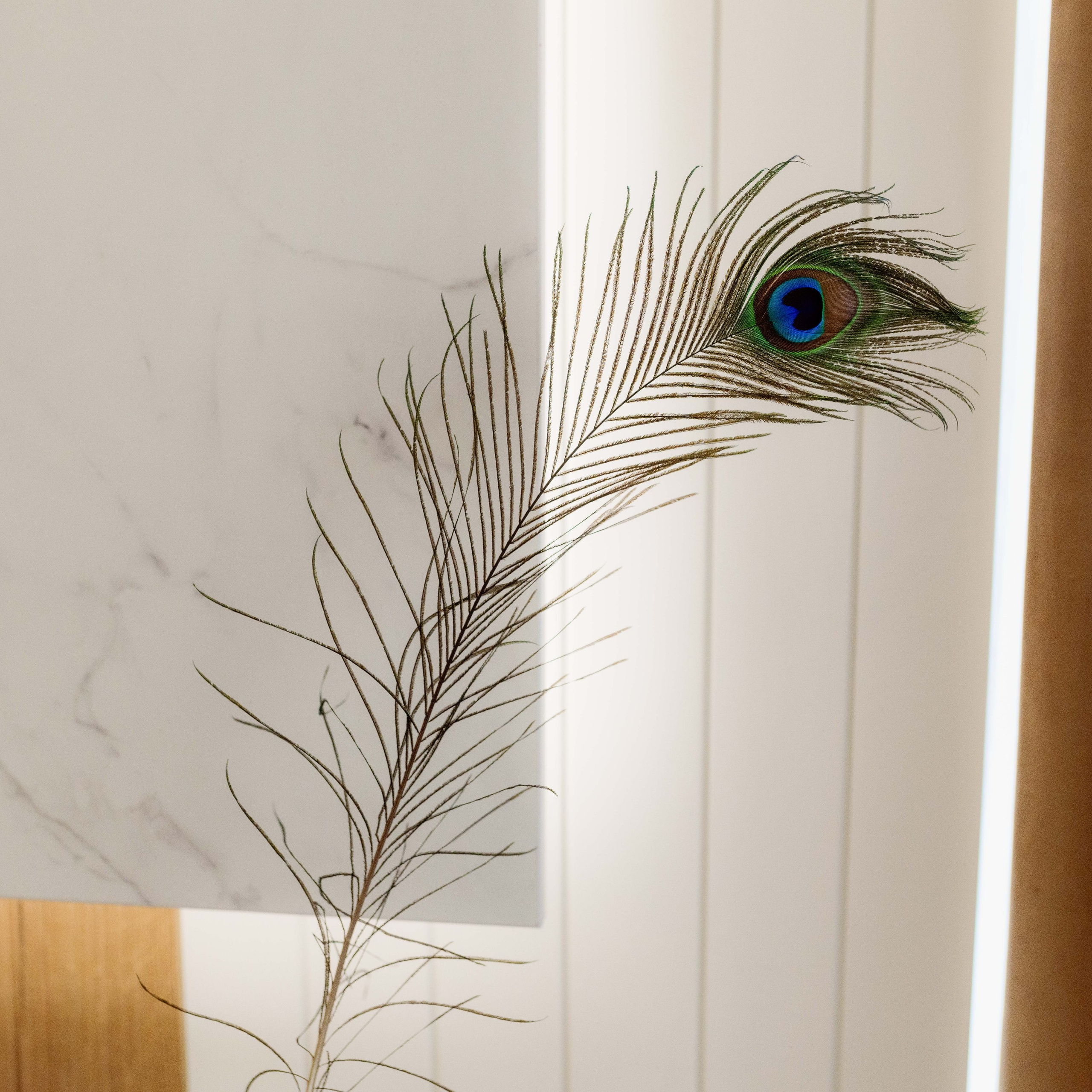 The Freya – Eleganță în Design Interior. IONESCU ELENA