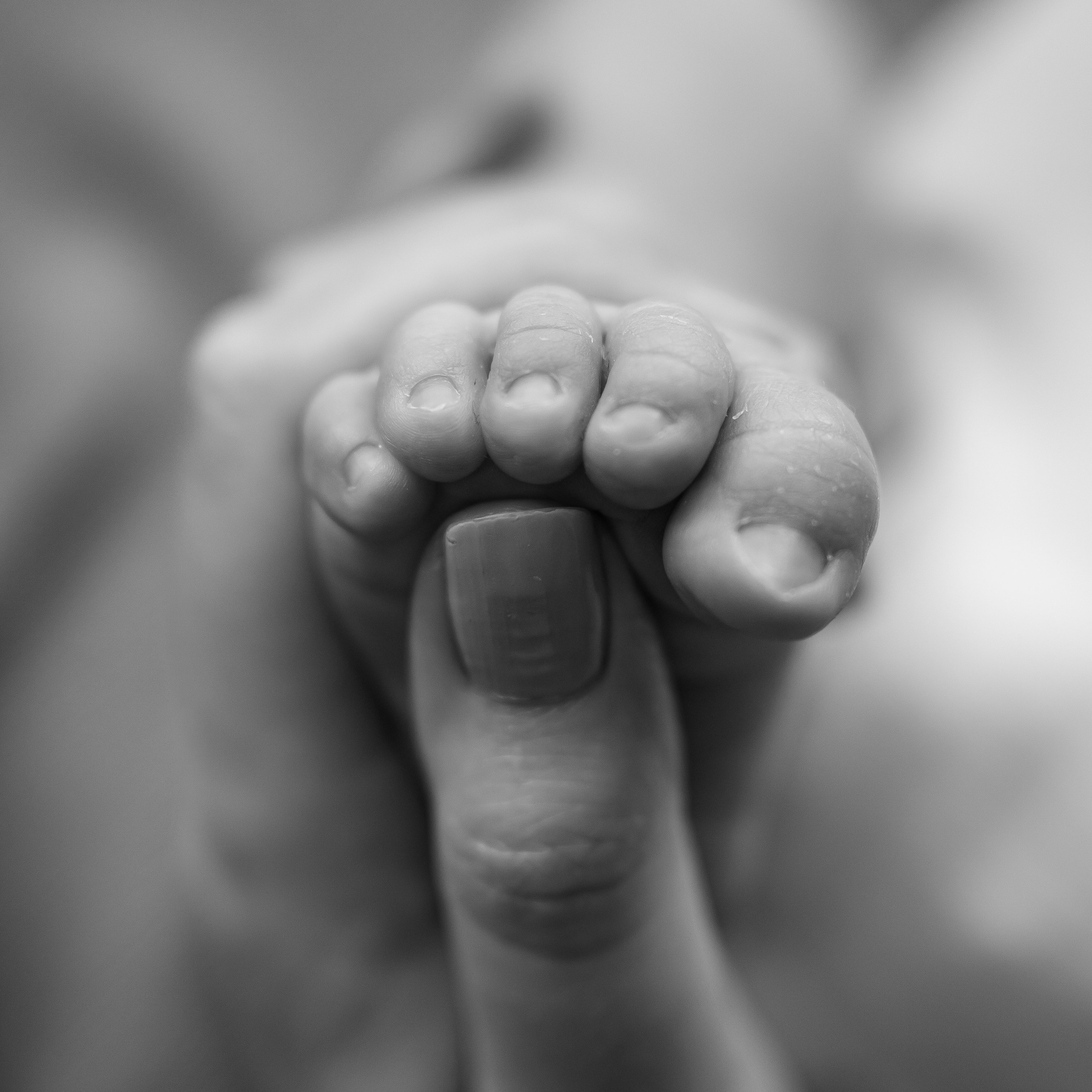 Kundenbewertungen – Neugeborenen- & Familienfotografie Berlin