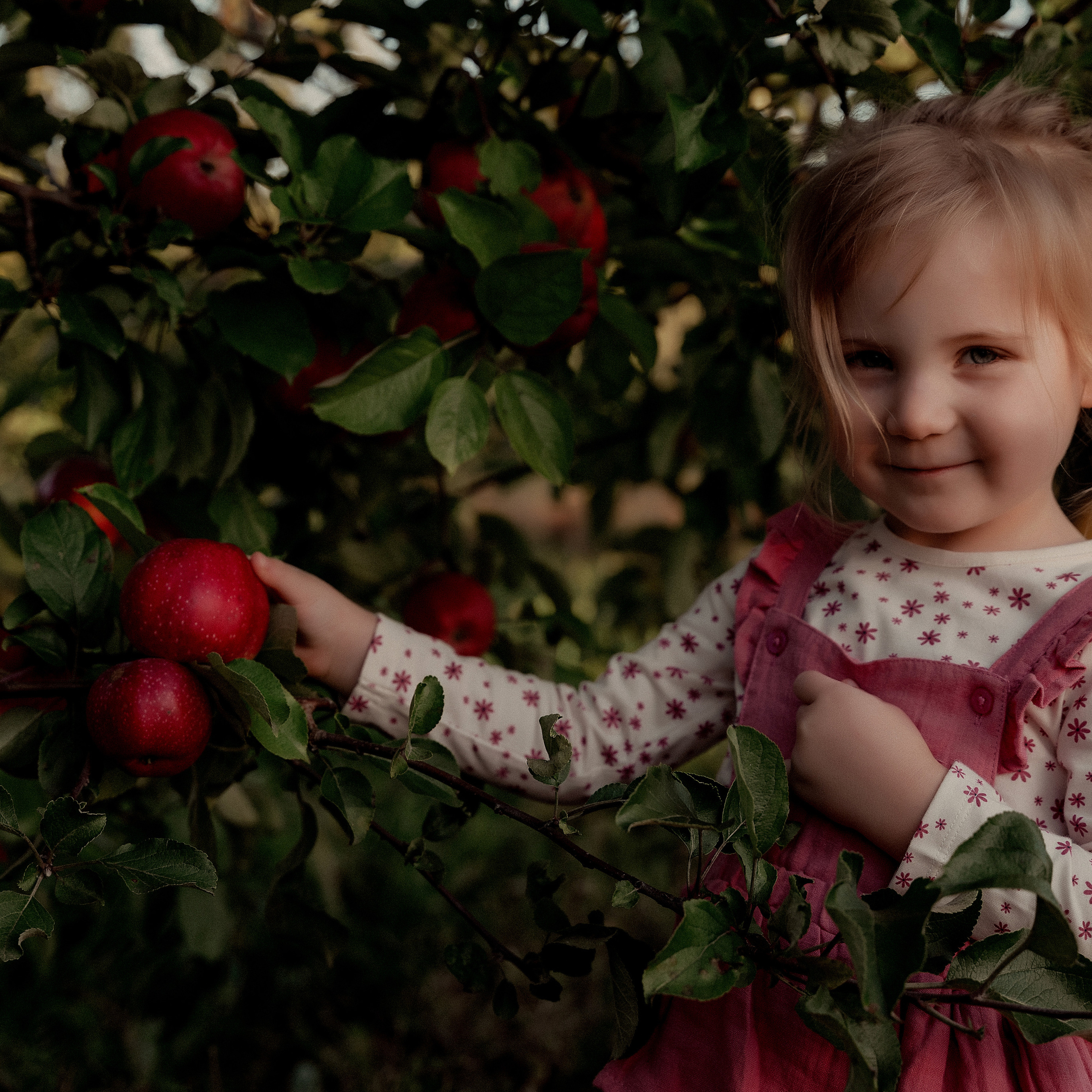 яблочное настроение