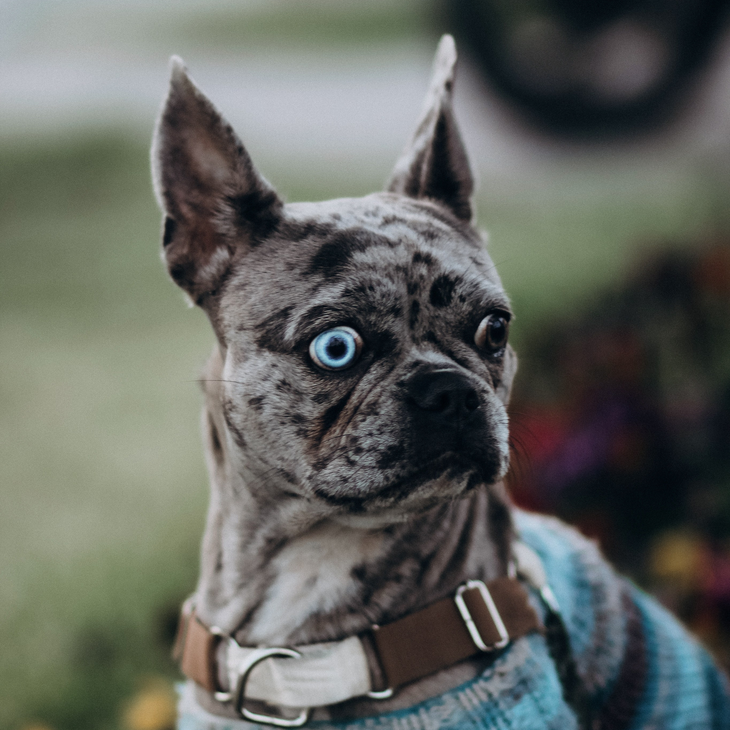 REVIEWS. Valerıya Efremova Photographer Barcelona