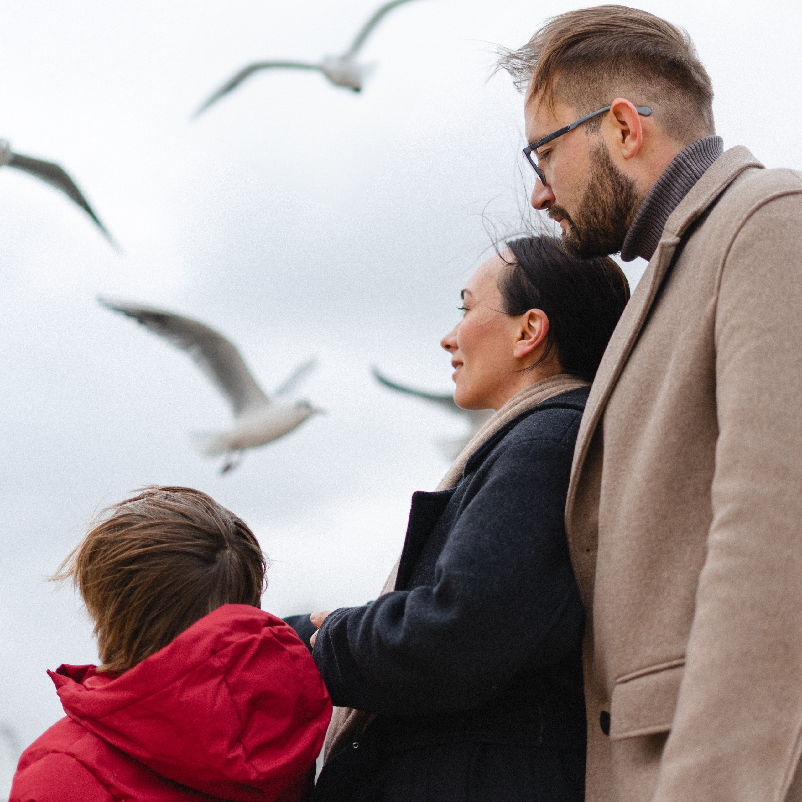 À la poursuite des oiseaux