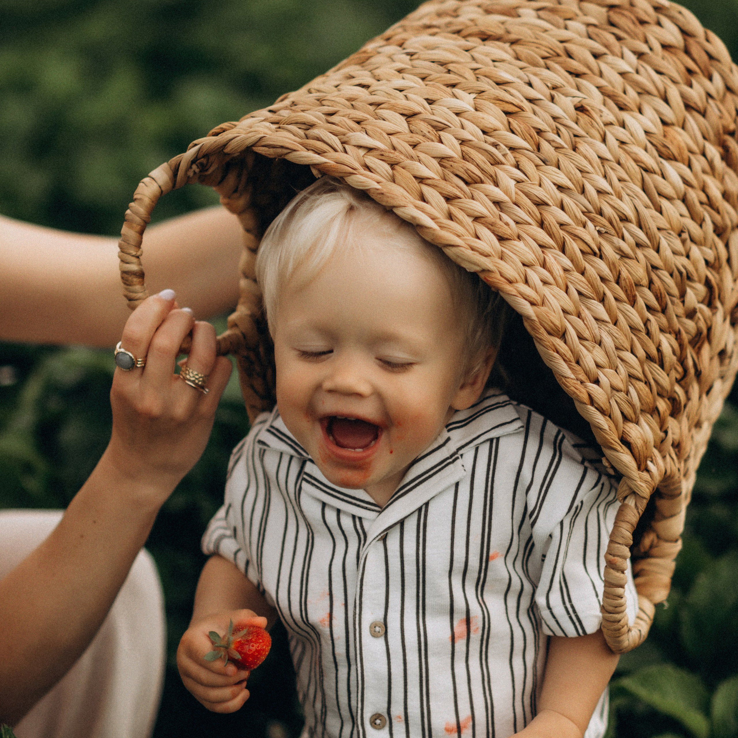 Семейная фотосессия в&nbsp;клубнике
