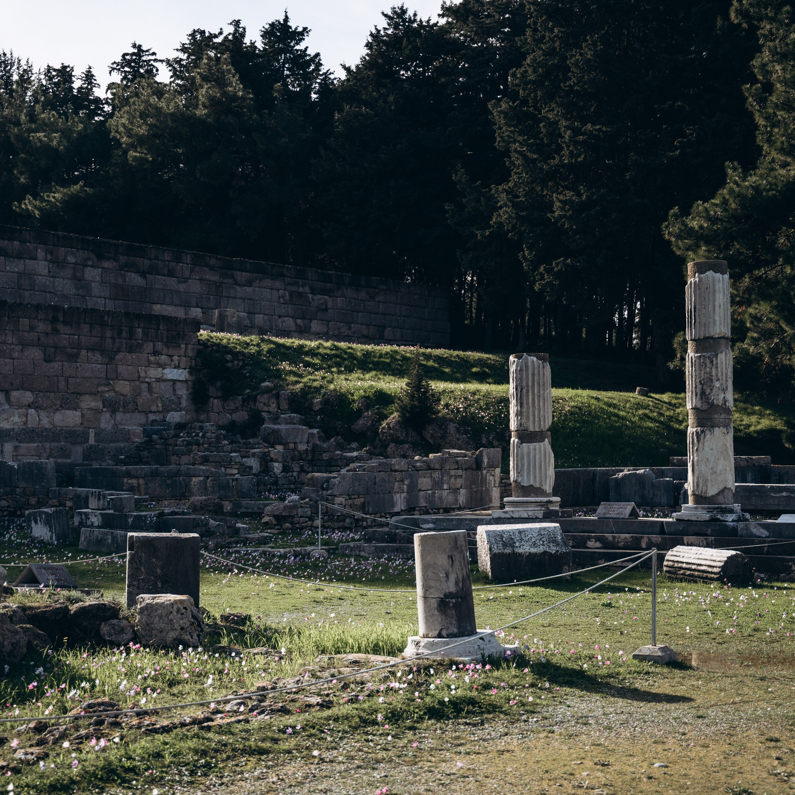 Остров Кос — Греция 🇬🇷. Anita_photo