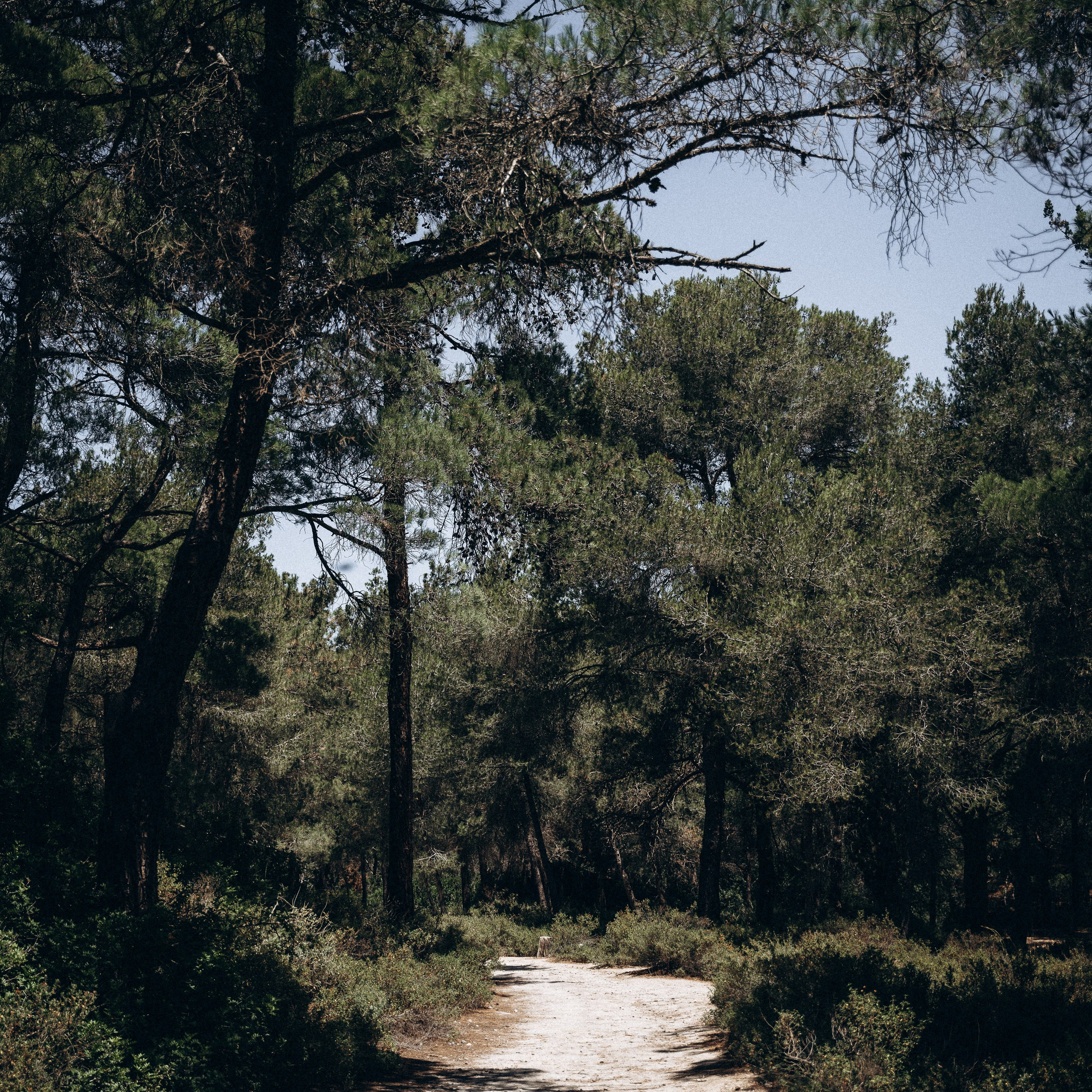 Остров Кос — Греция 🇬🇷. Anita_photo