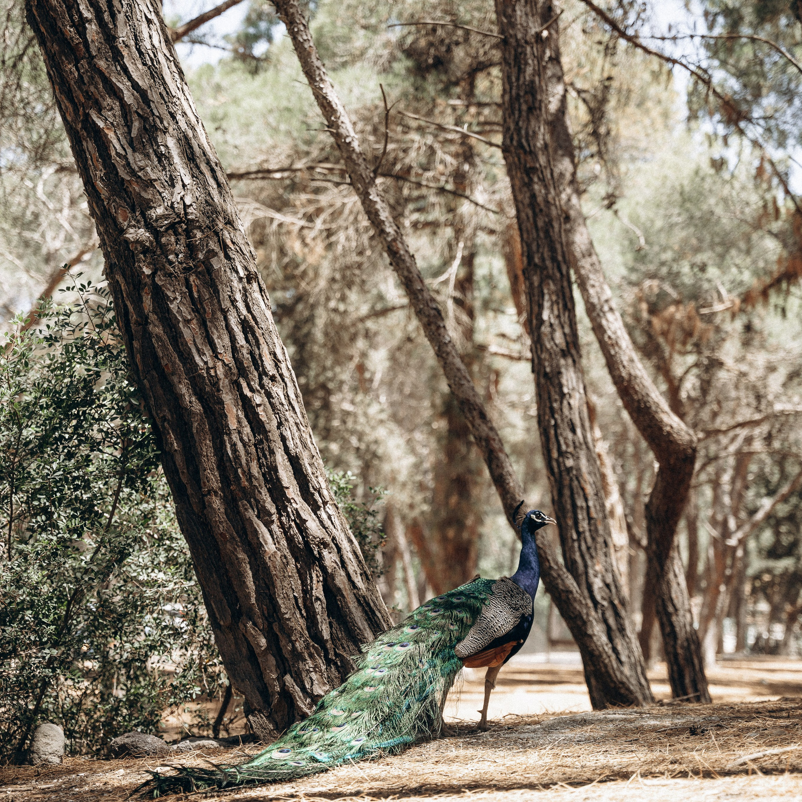 Остров Кос — Греция 🇬🇷. Anita_photo