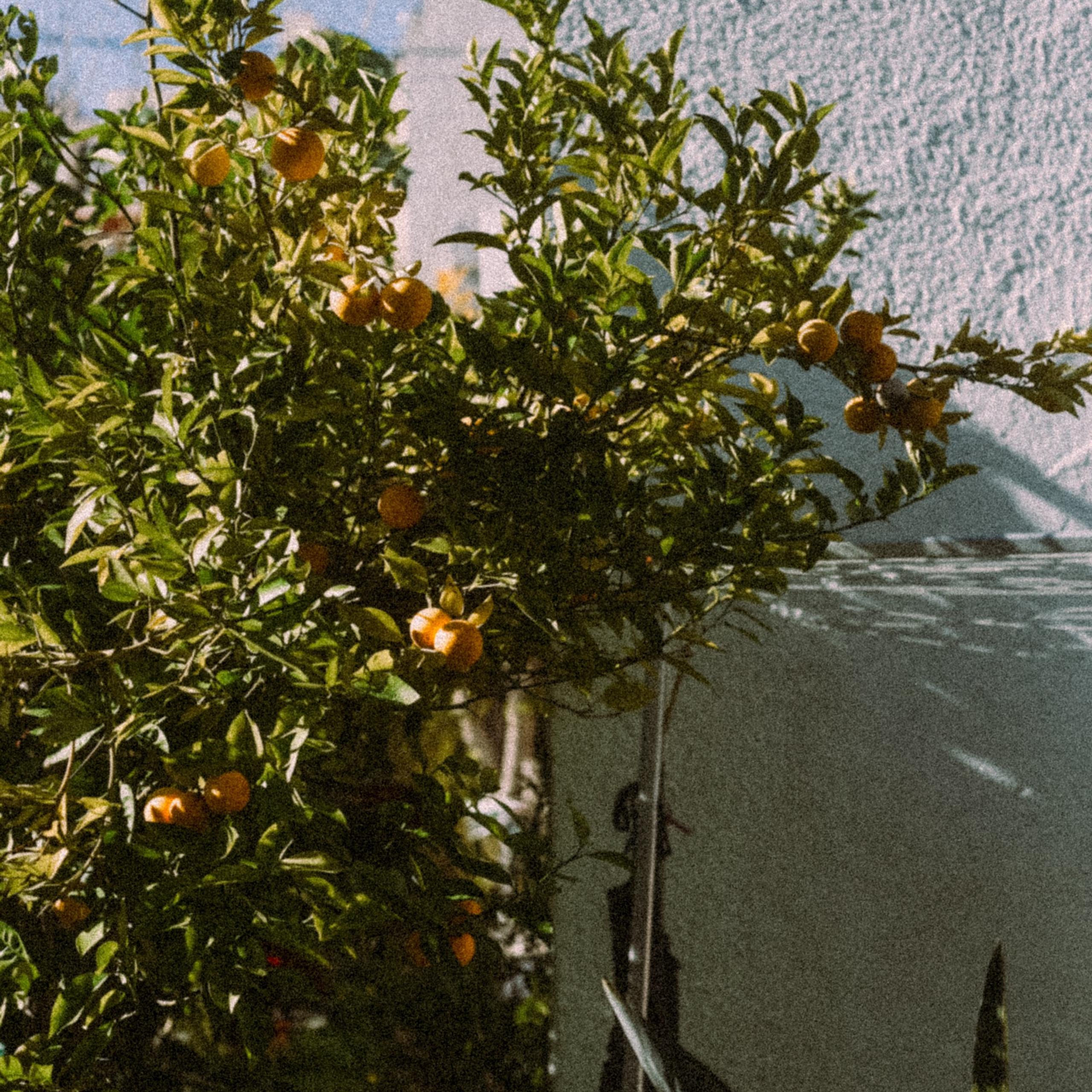 Остров Кос — Греция 🇬🇷. Anita_photo