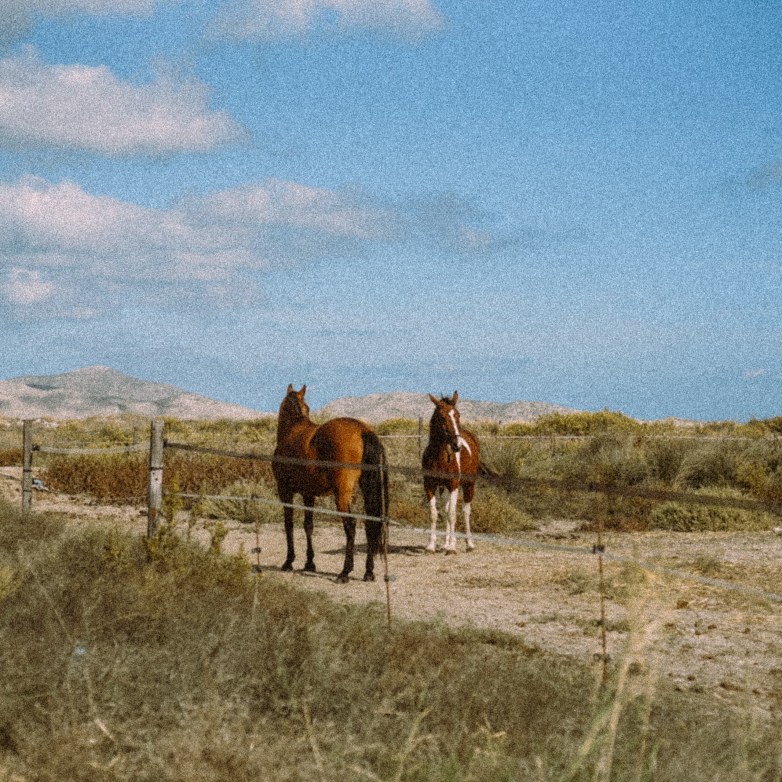 Остров Кос — Греция 🇬🇷. Anita_photo