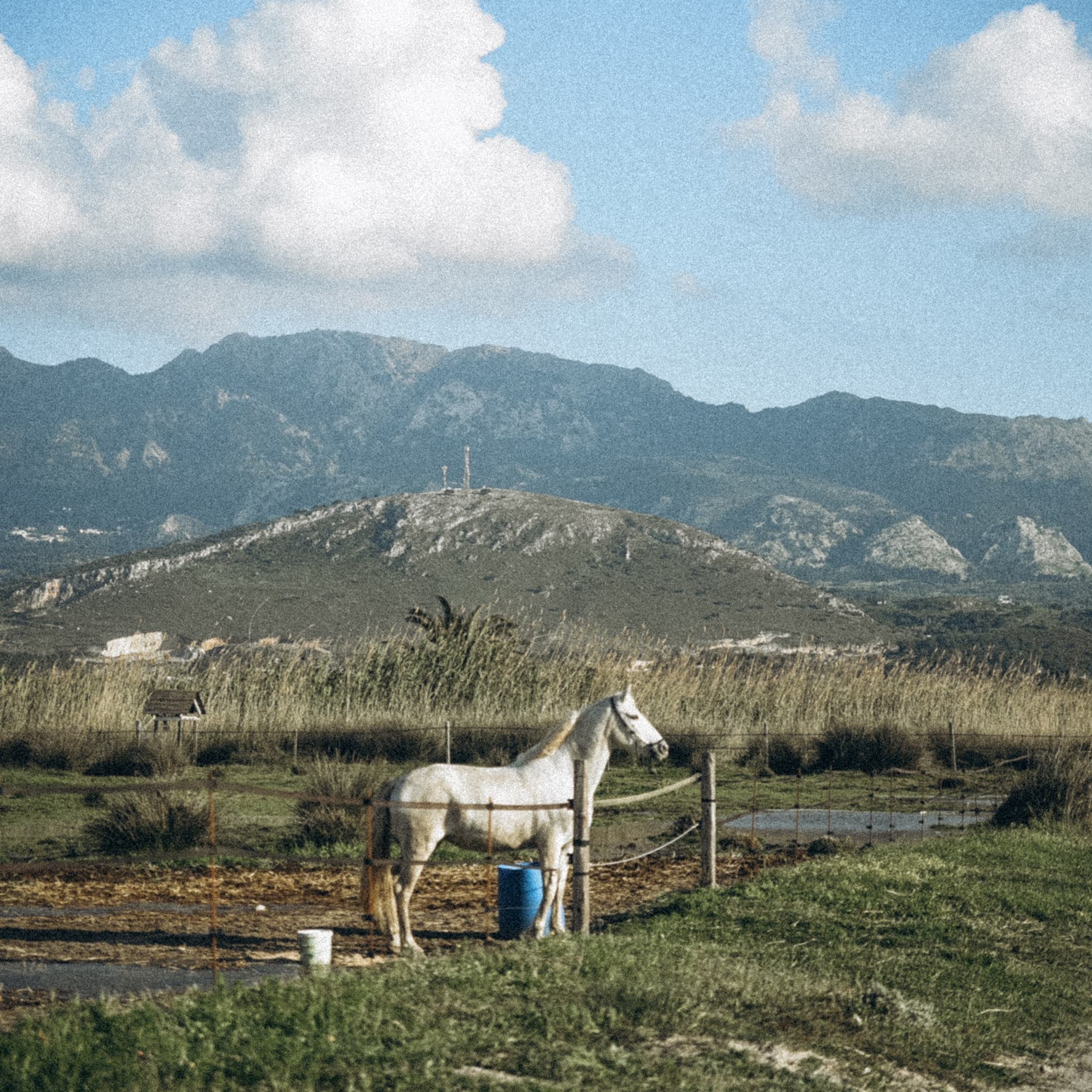 Остров Кос — Греция 🇬🇷. Anita_photo