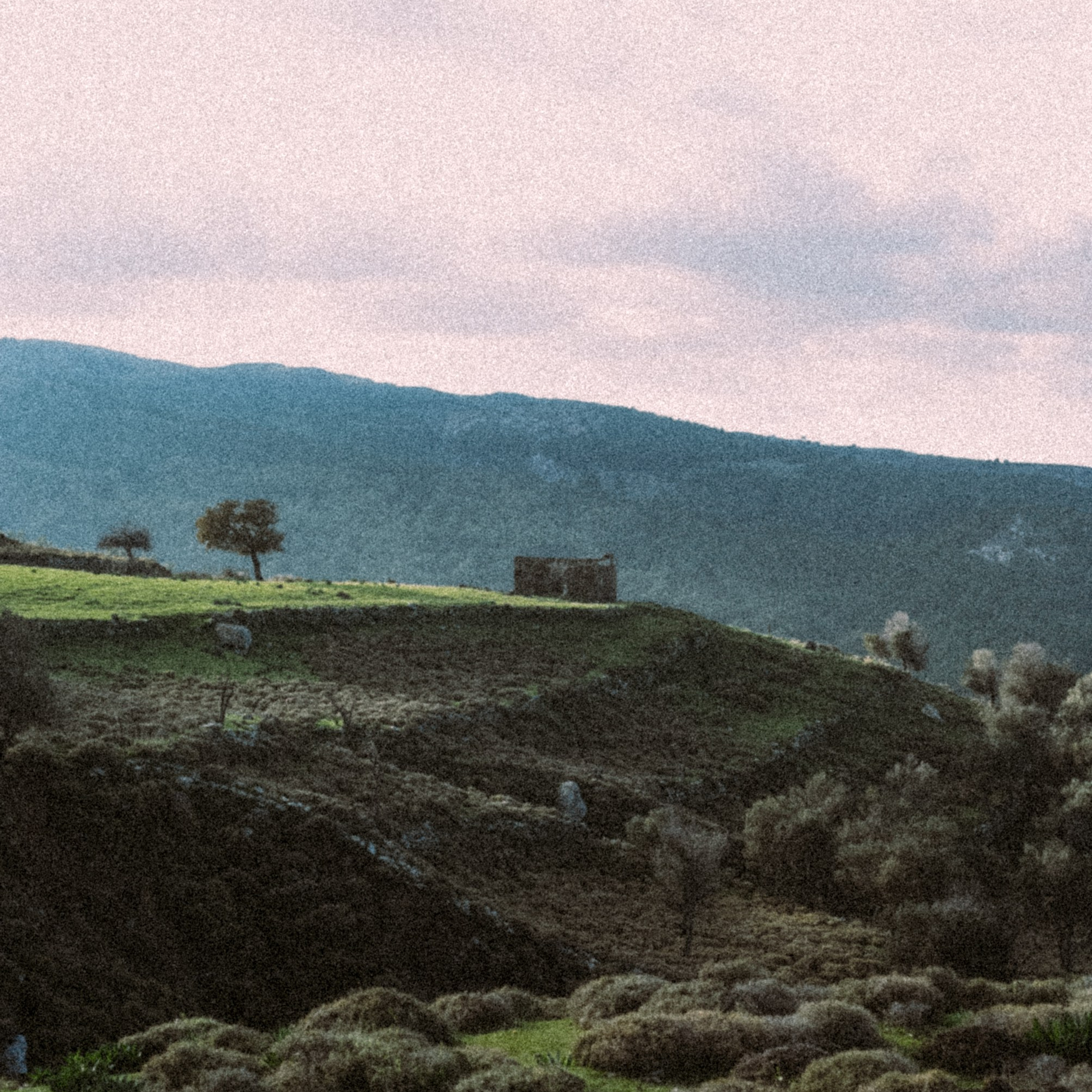 Остров Кос — Греция 🇬🇷. Anita_photo