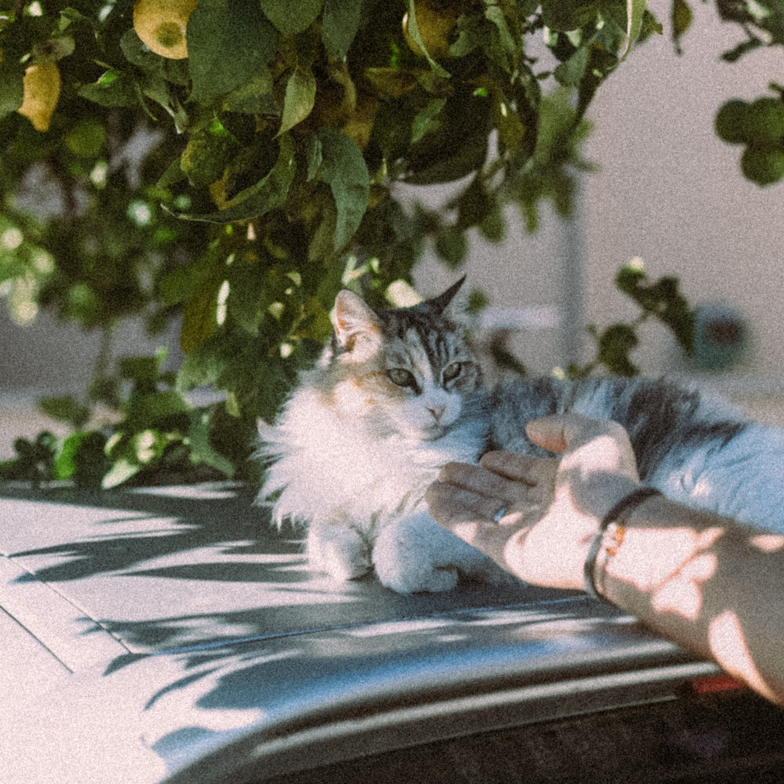Остров Кос — Греция 🇬🇷. Anita_photo