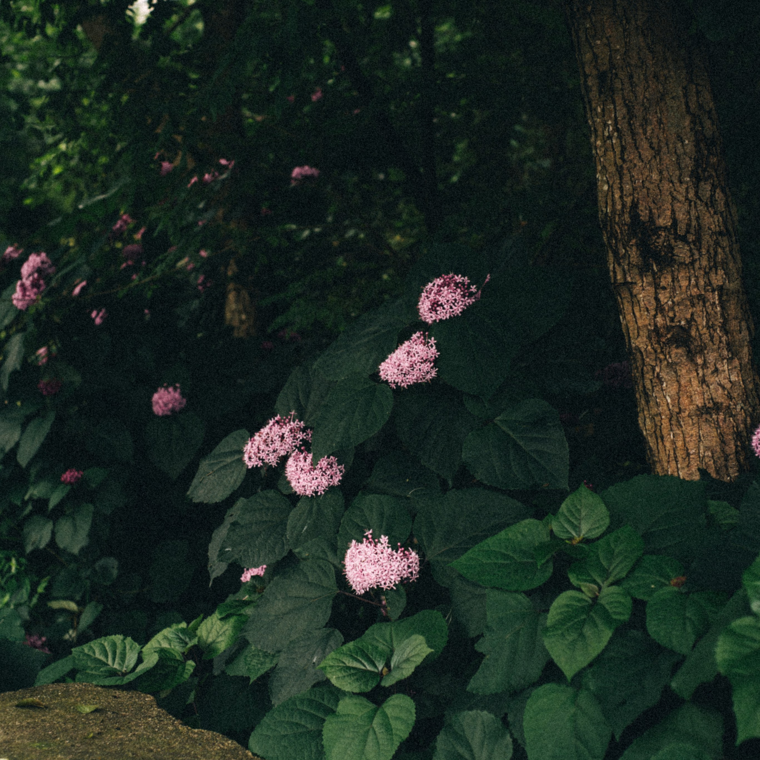 Блог фотографа Кос. Anita_photo