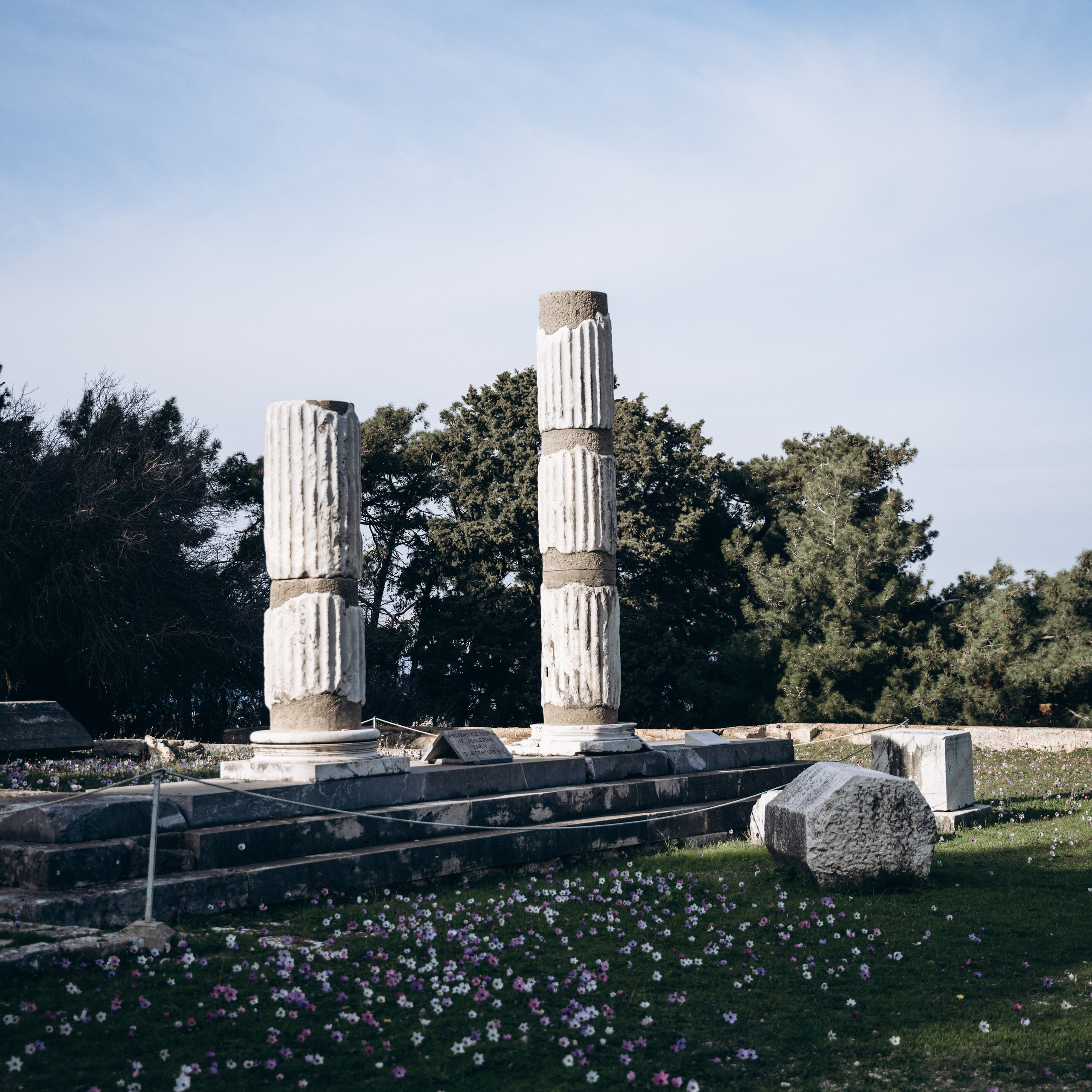 Остров Кос — Греция 🇬🇷. Anita_photo